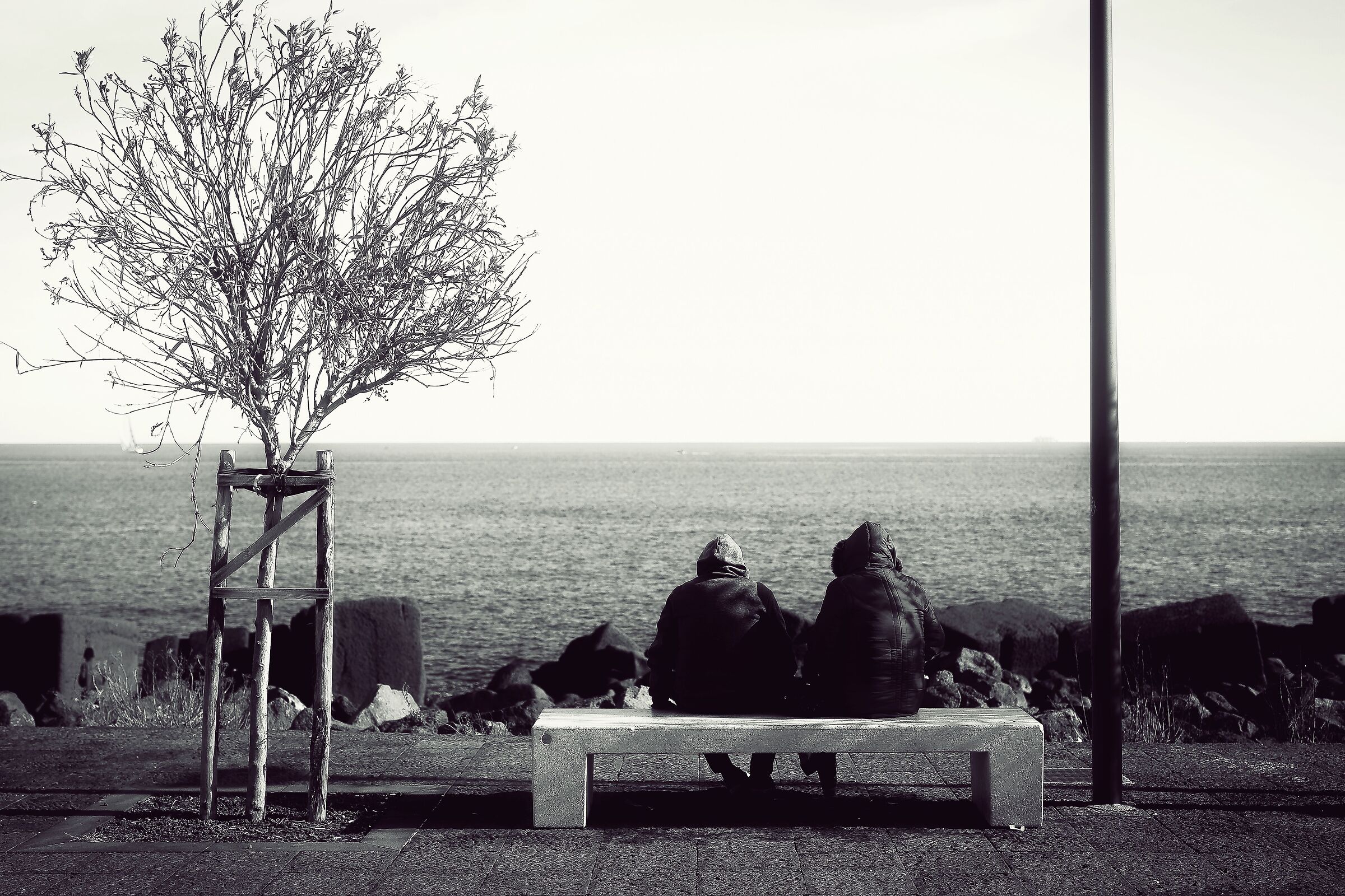 That calm, cold day.