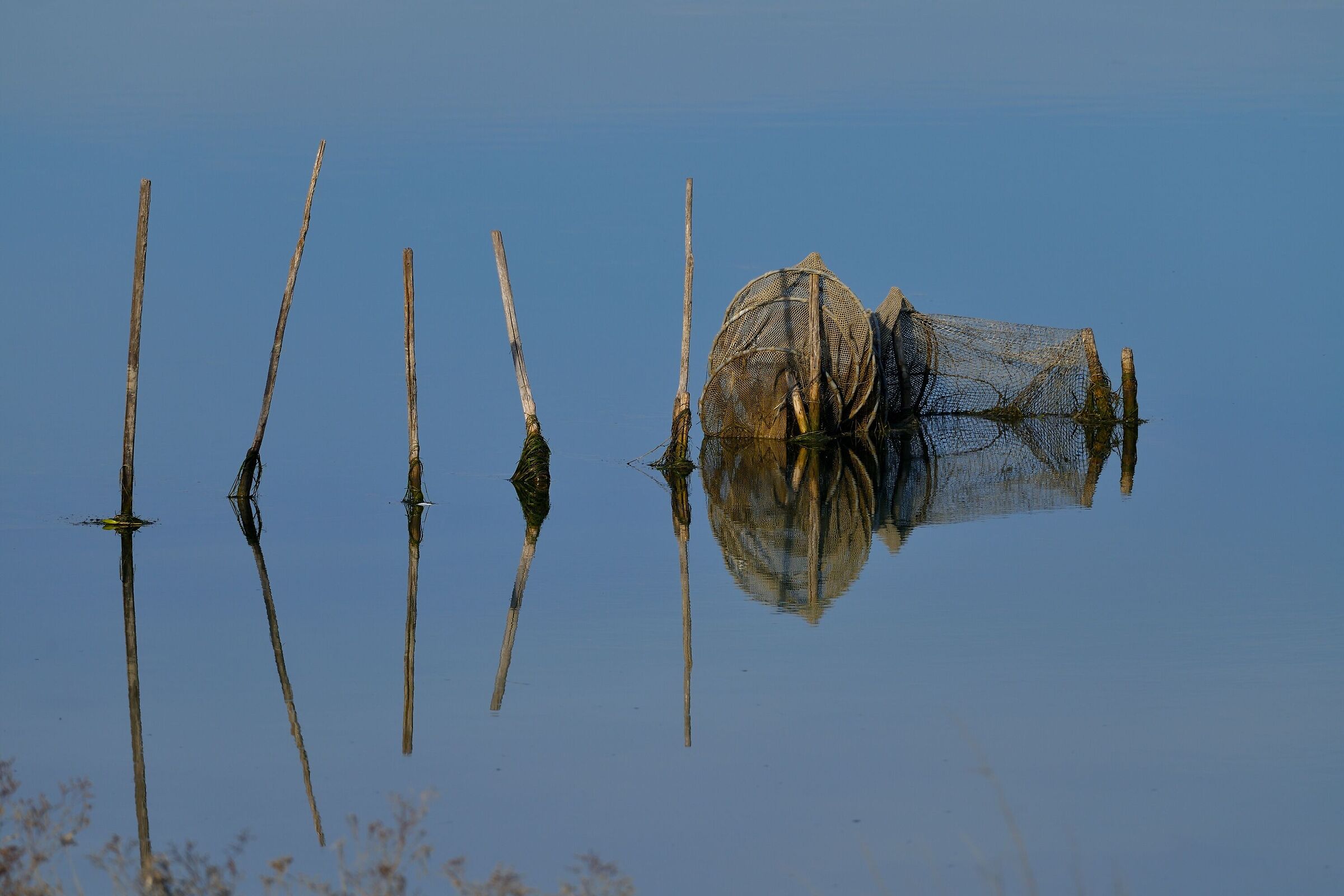 lagoon symmetries....
