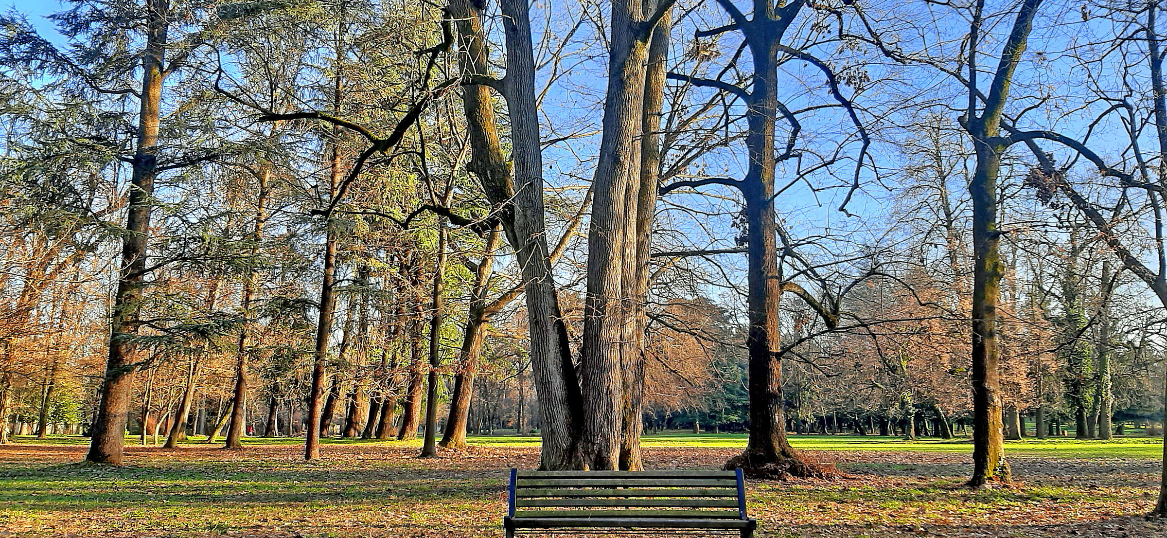 gardens of the Royal Villa of Monza