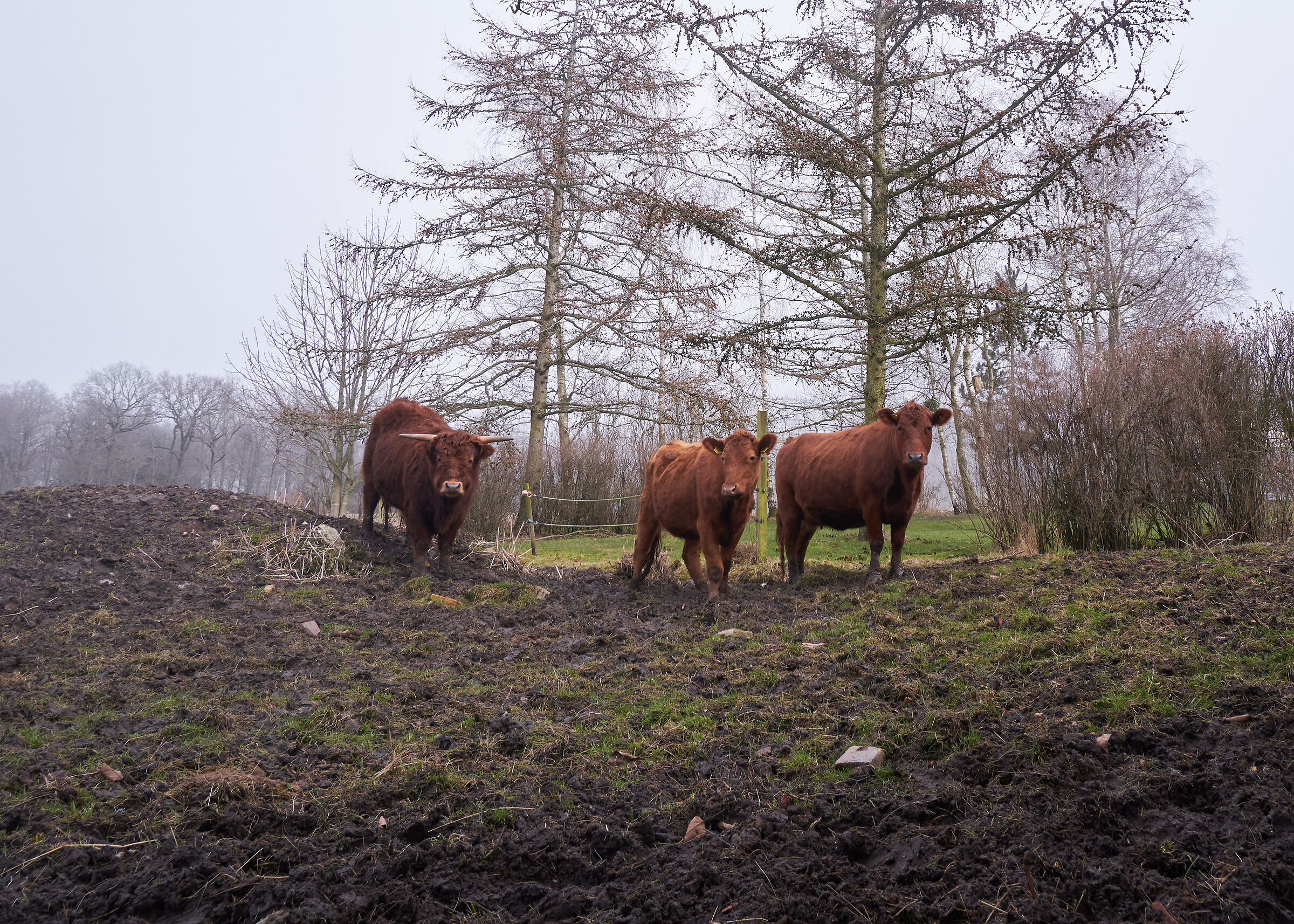 Farm.