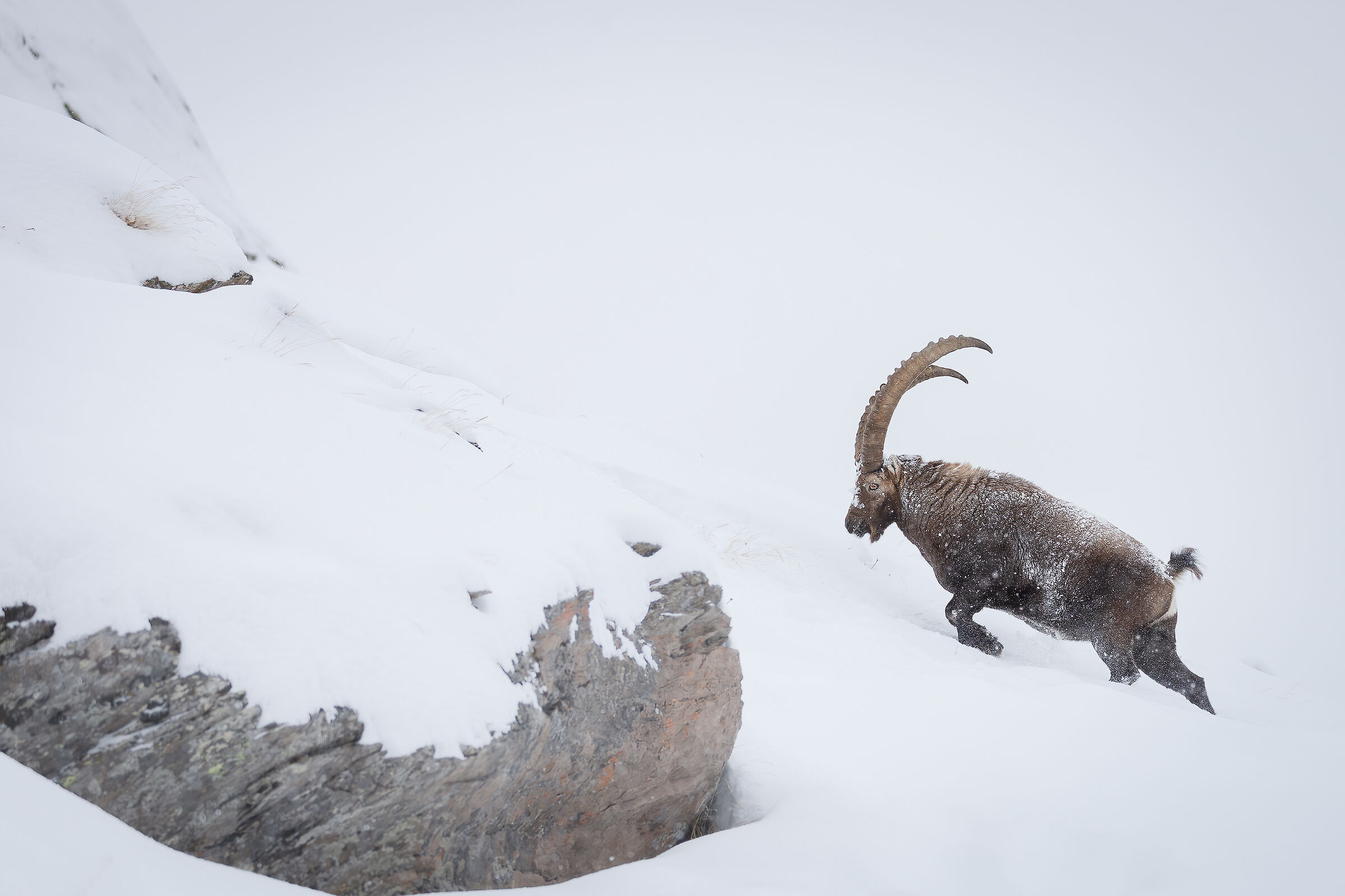 Climbing in the snow
