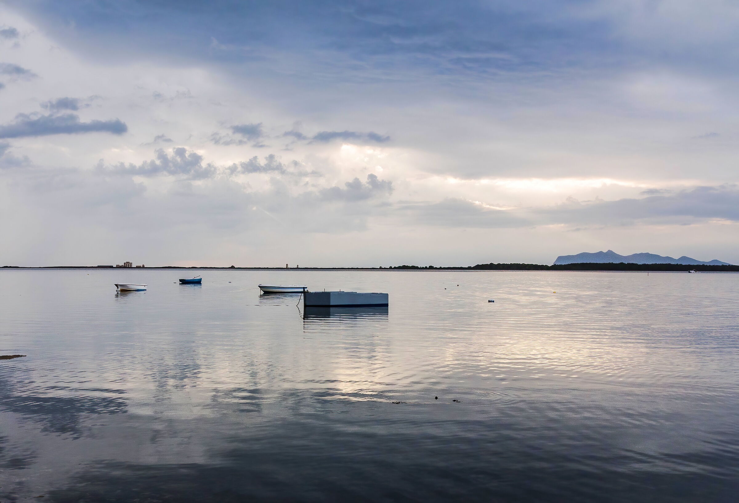 La gran quiete marina