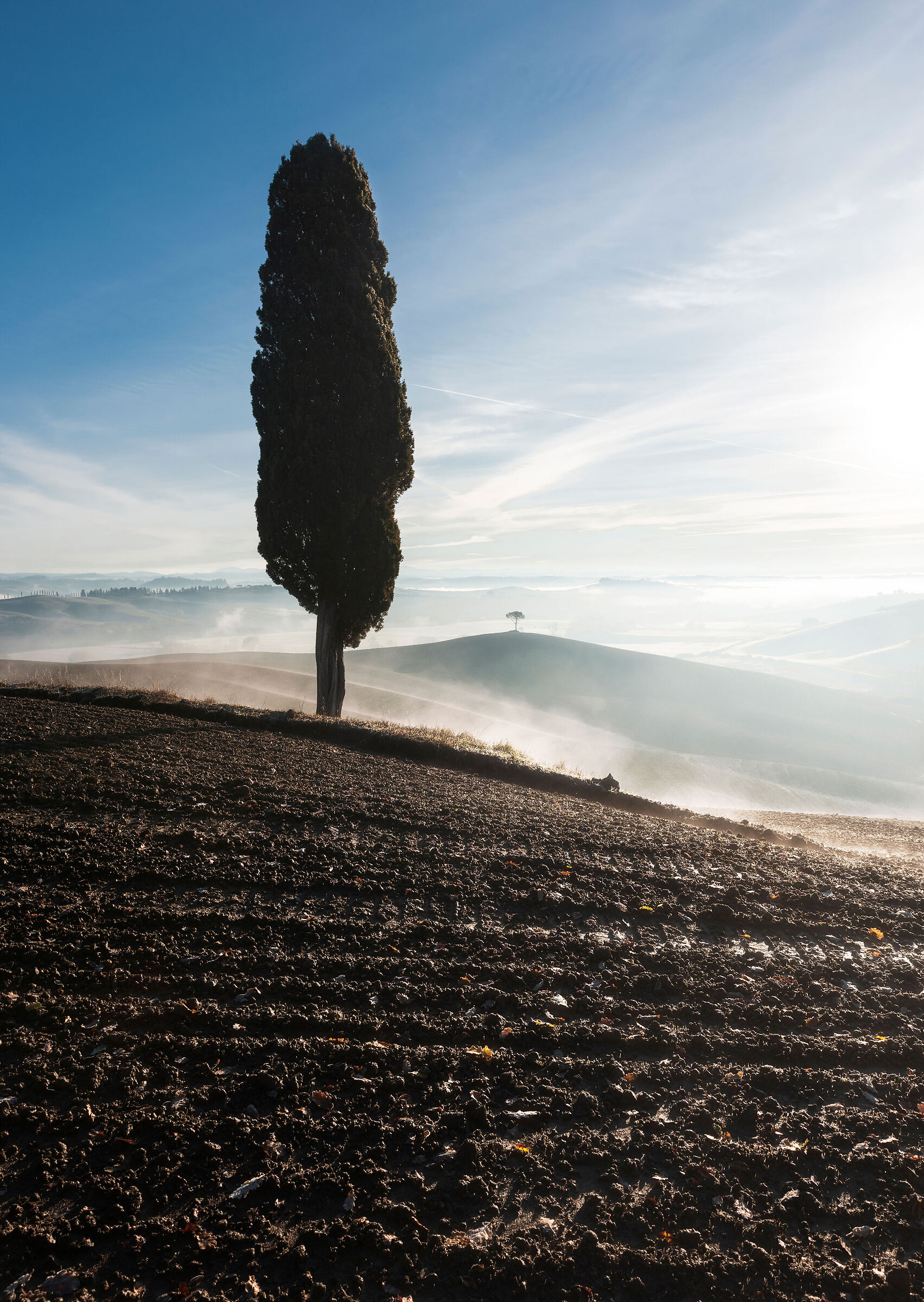 Misty Tuscan morning