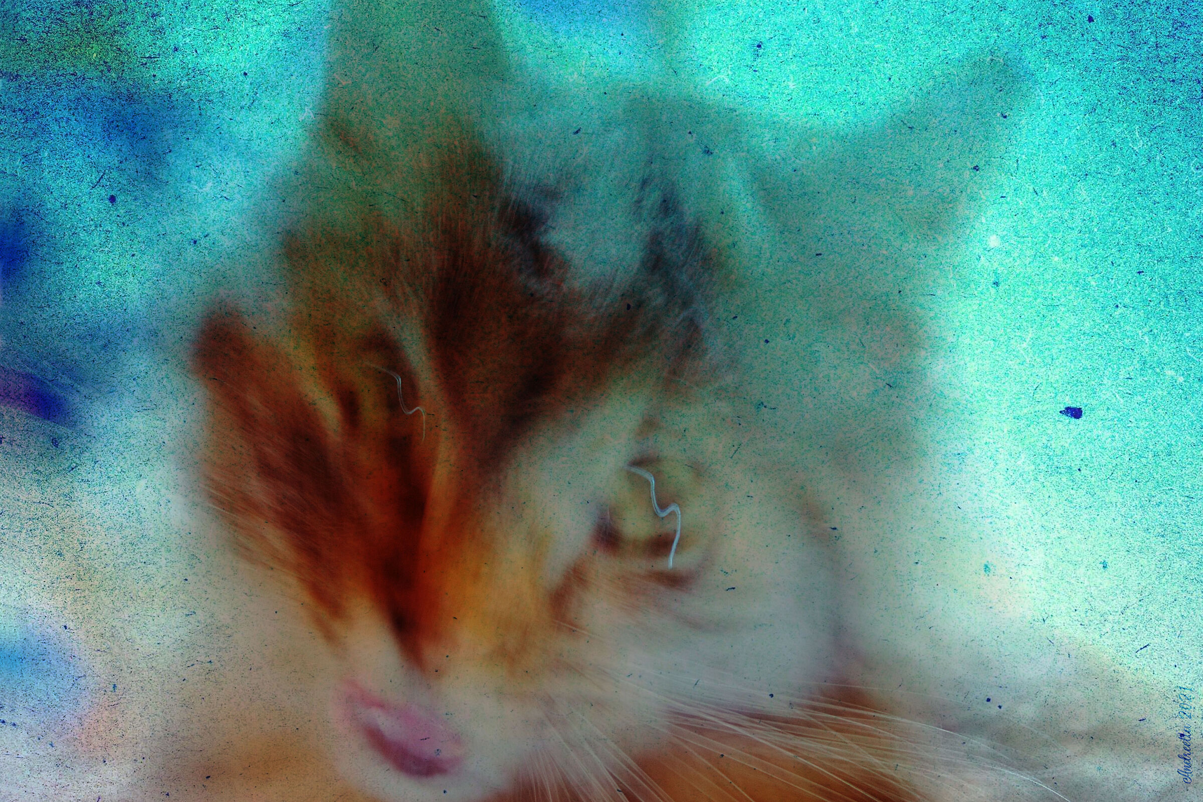 behind the window of time