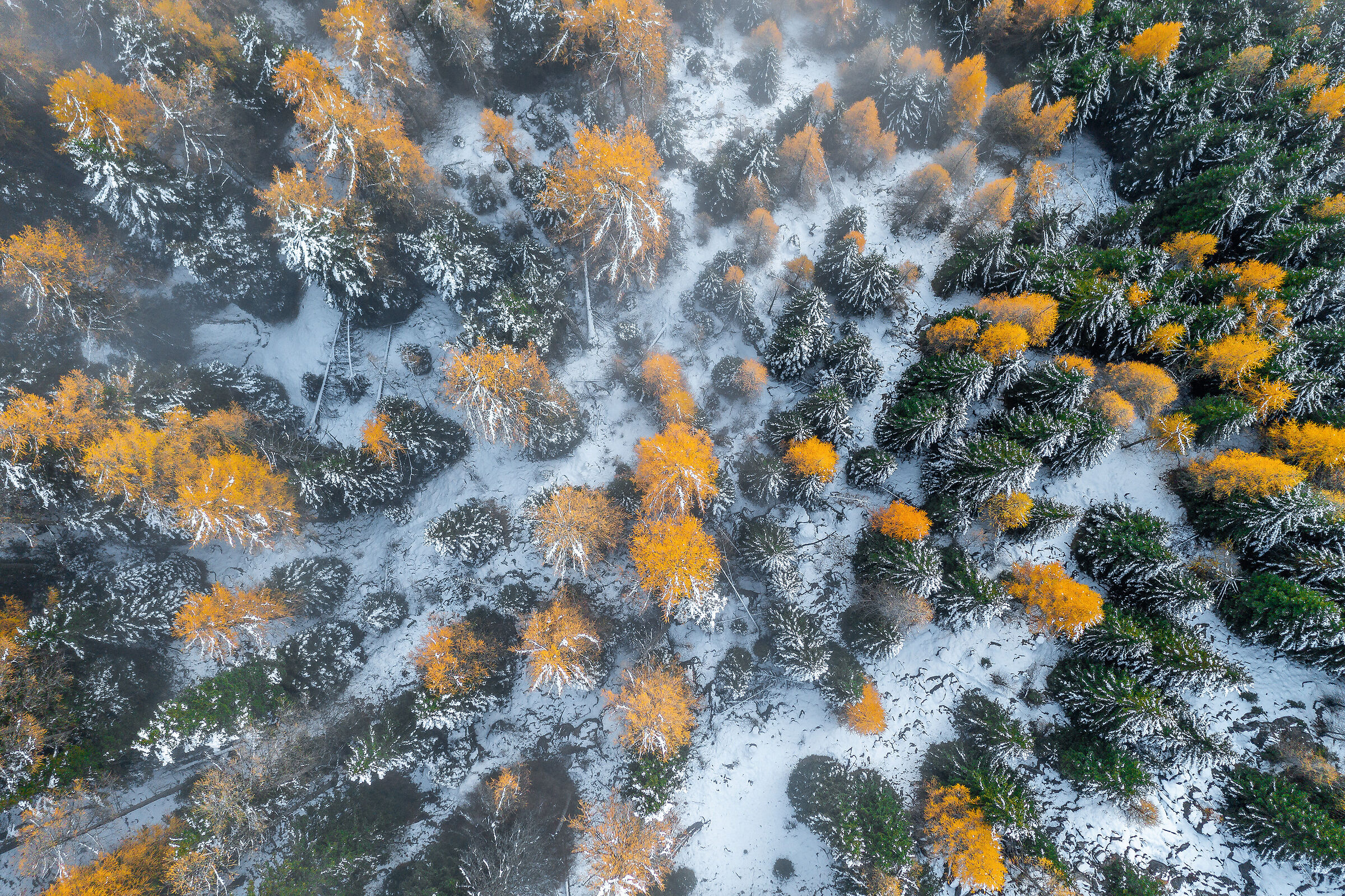 Above the larch forest