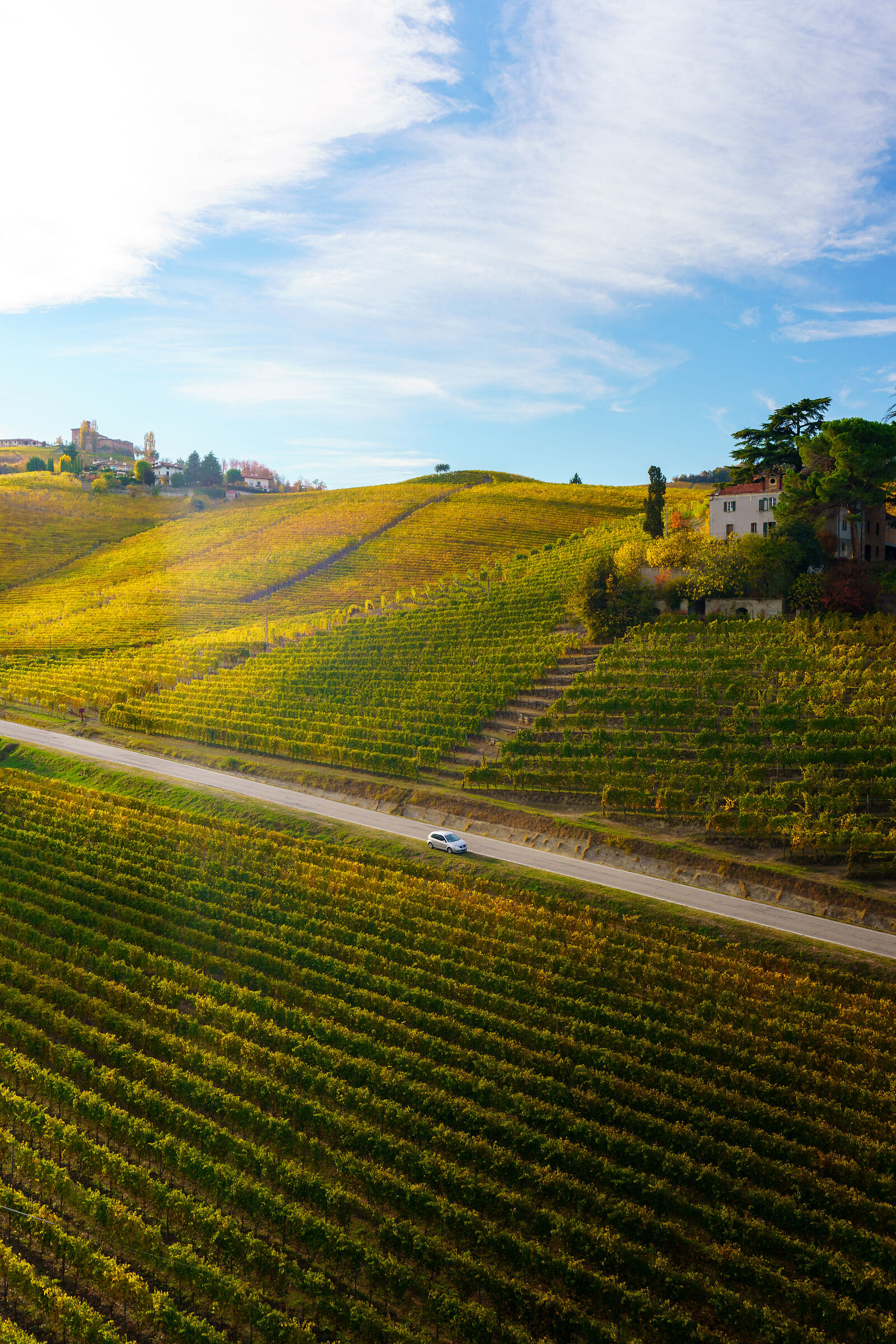Langhe dalla mongolfiera