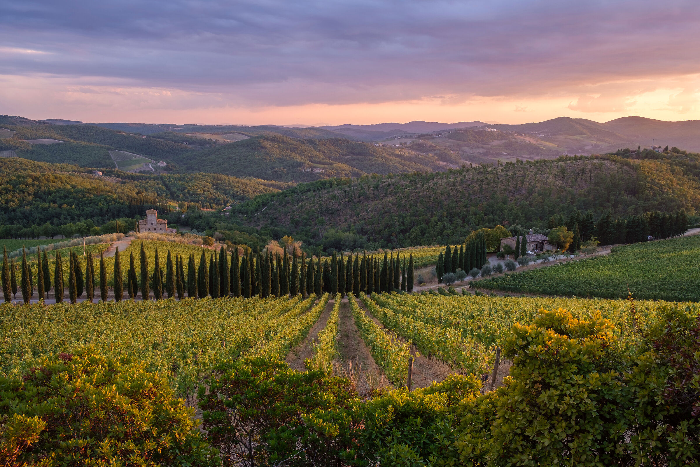 Colline del Chianti