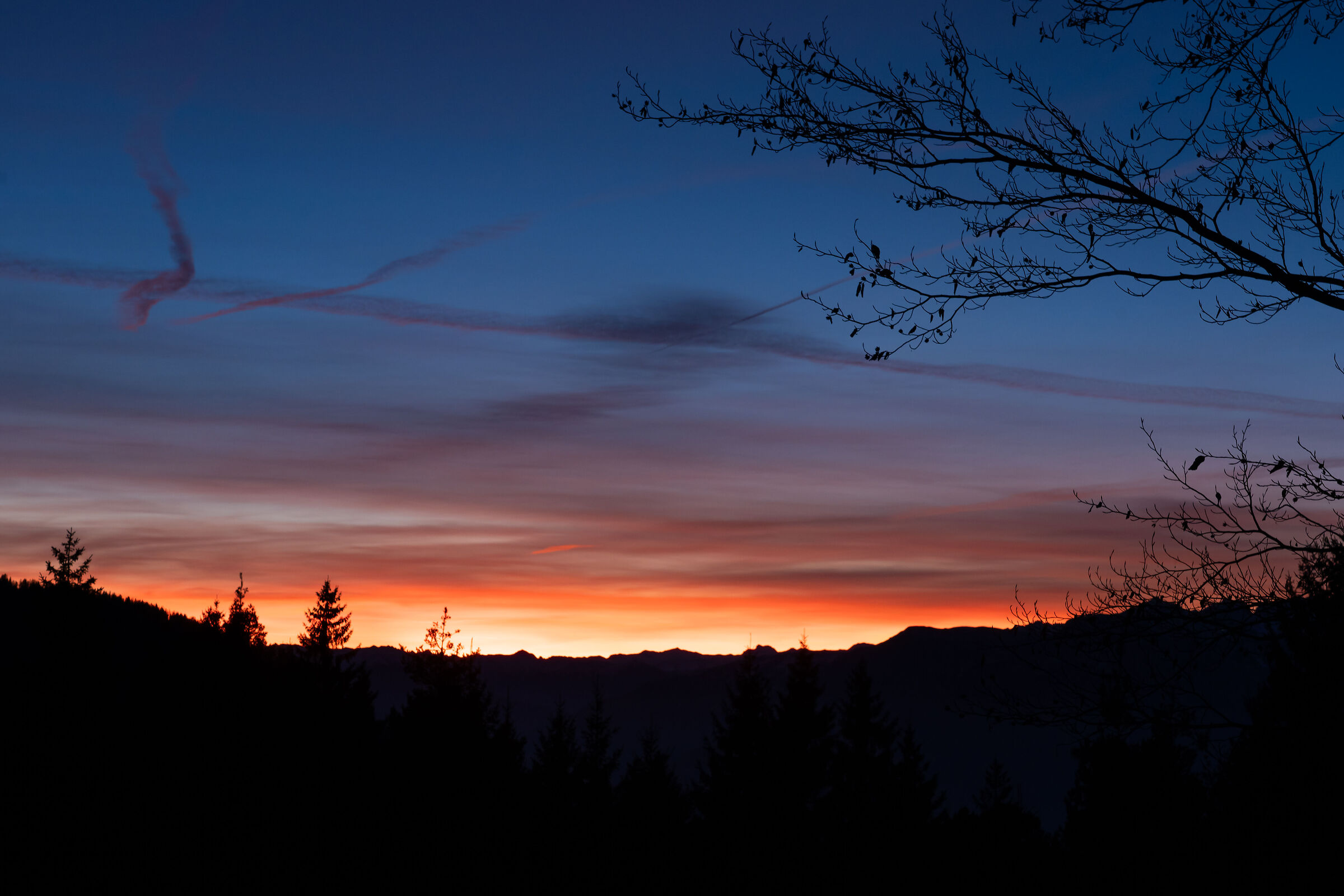Untitled Photo