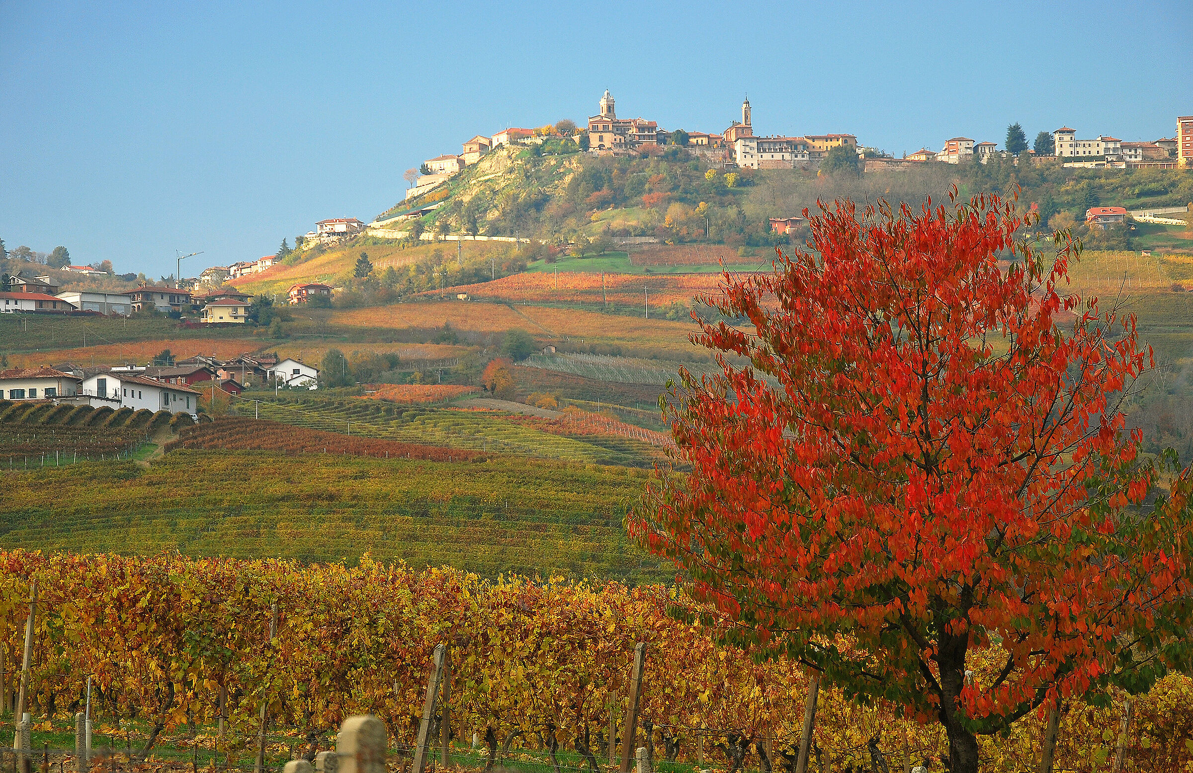 Langhe 4