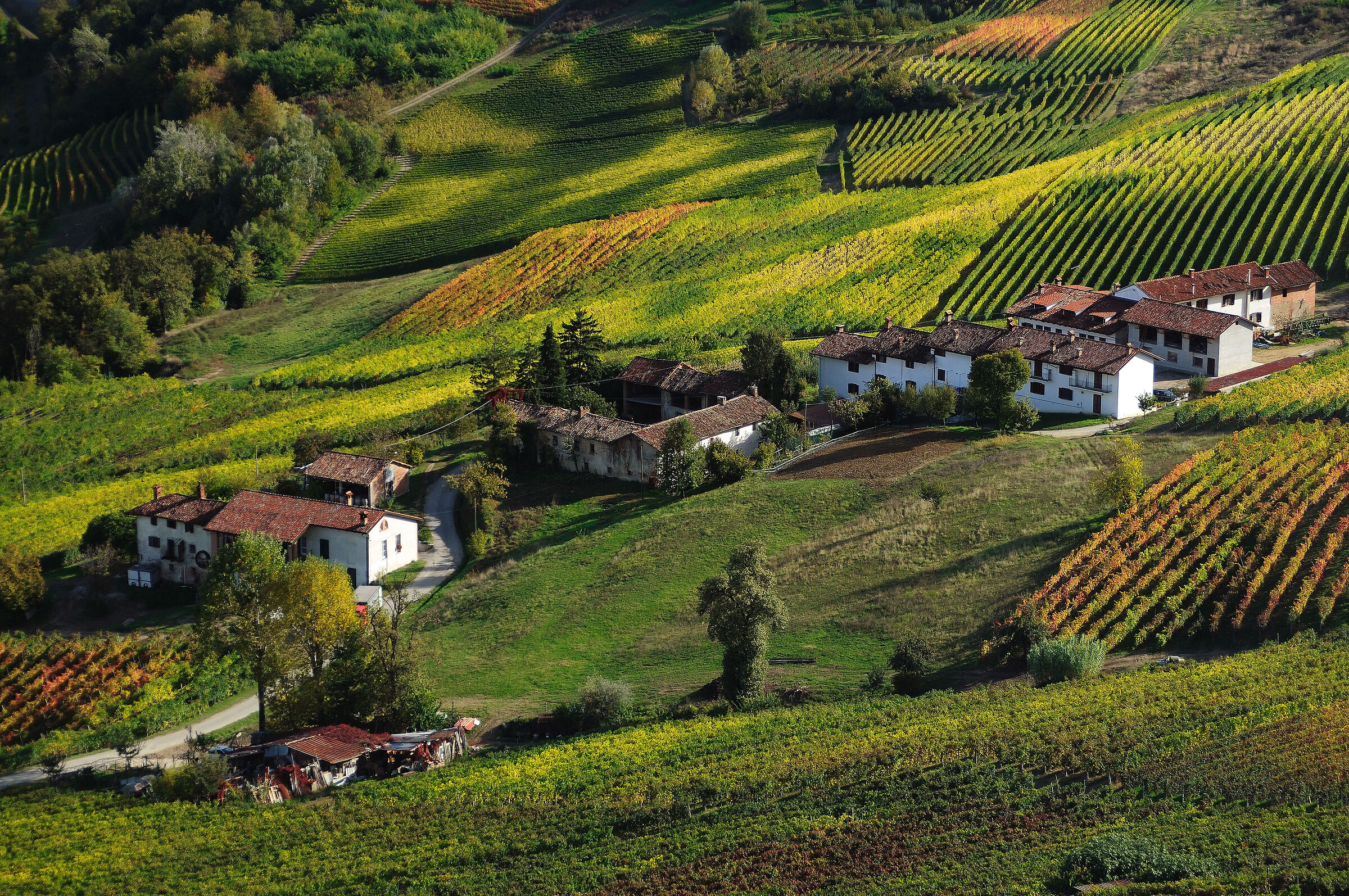 Veduta dalla LaMorra 1