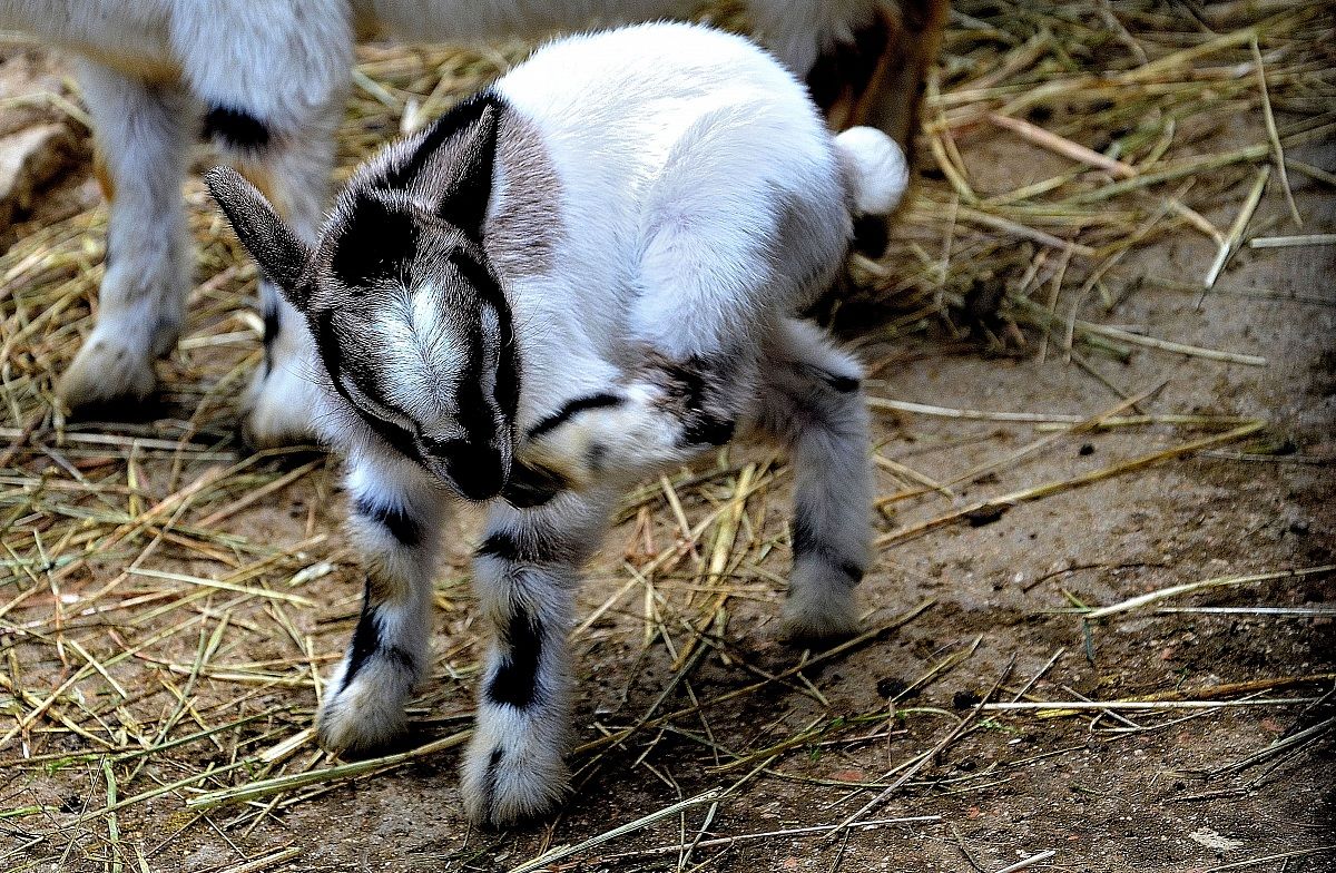 Ciao, sono appena arrivata!