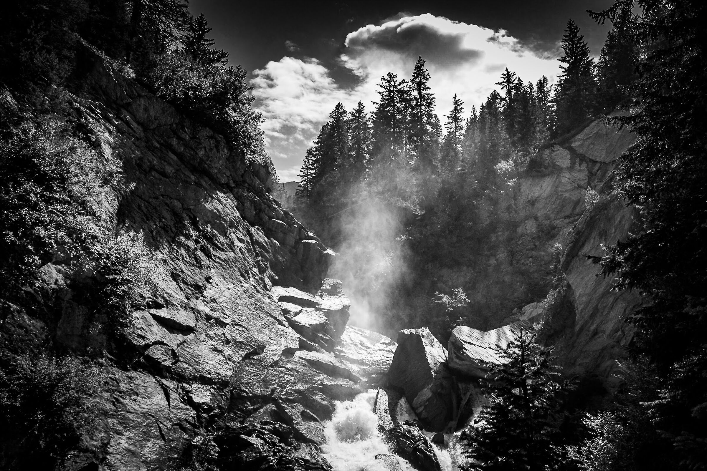 bed and breakfast b&w