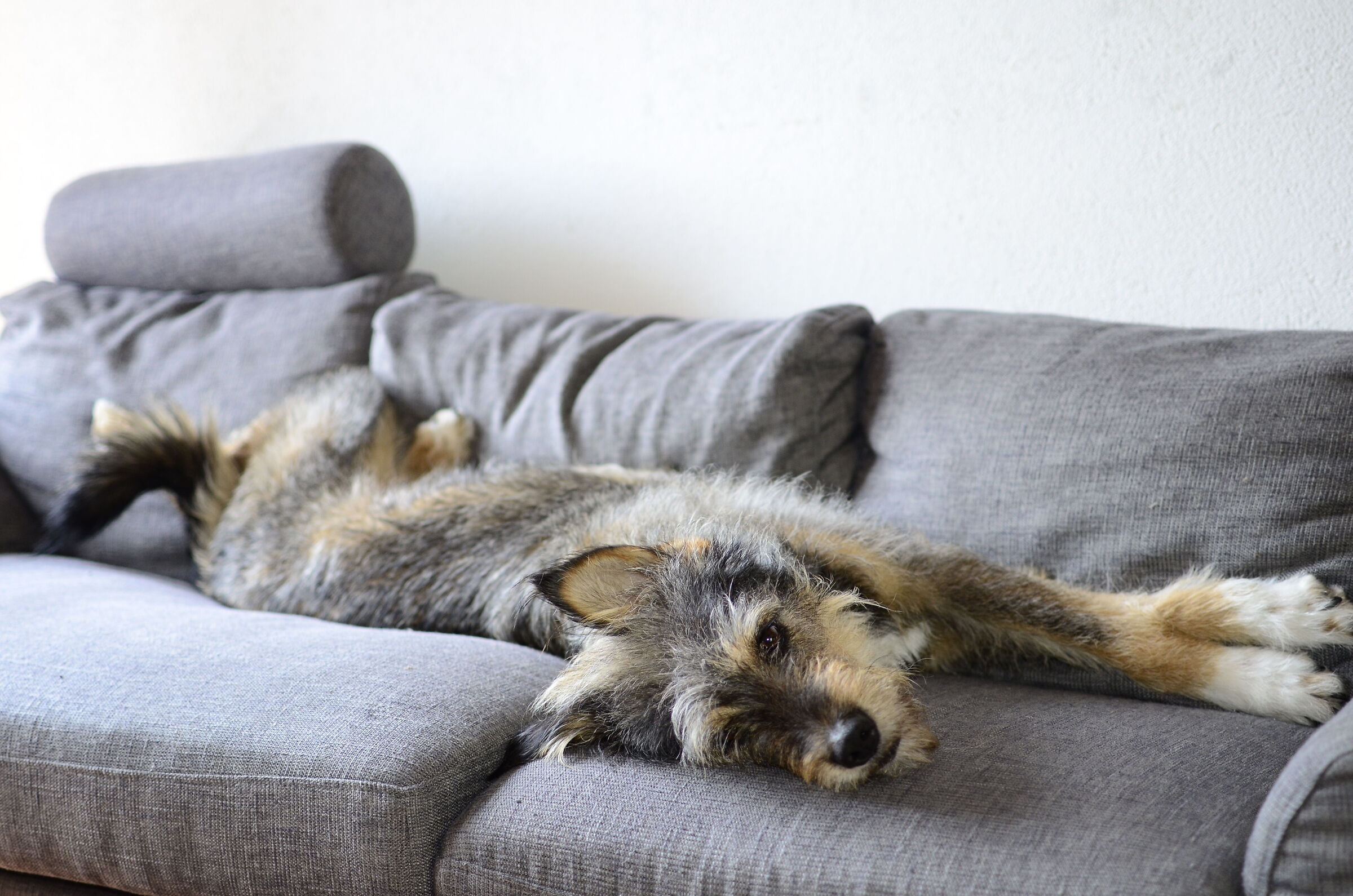 Relax
