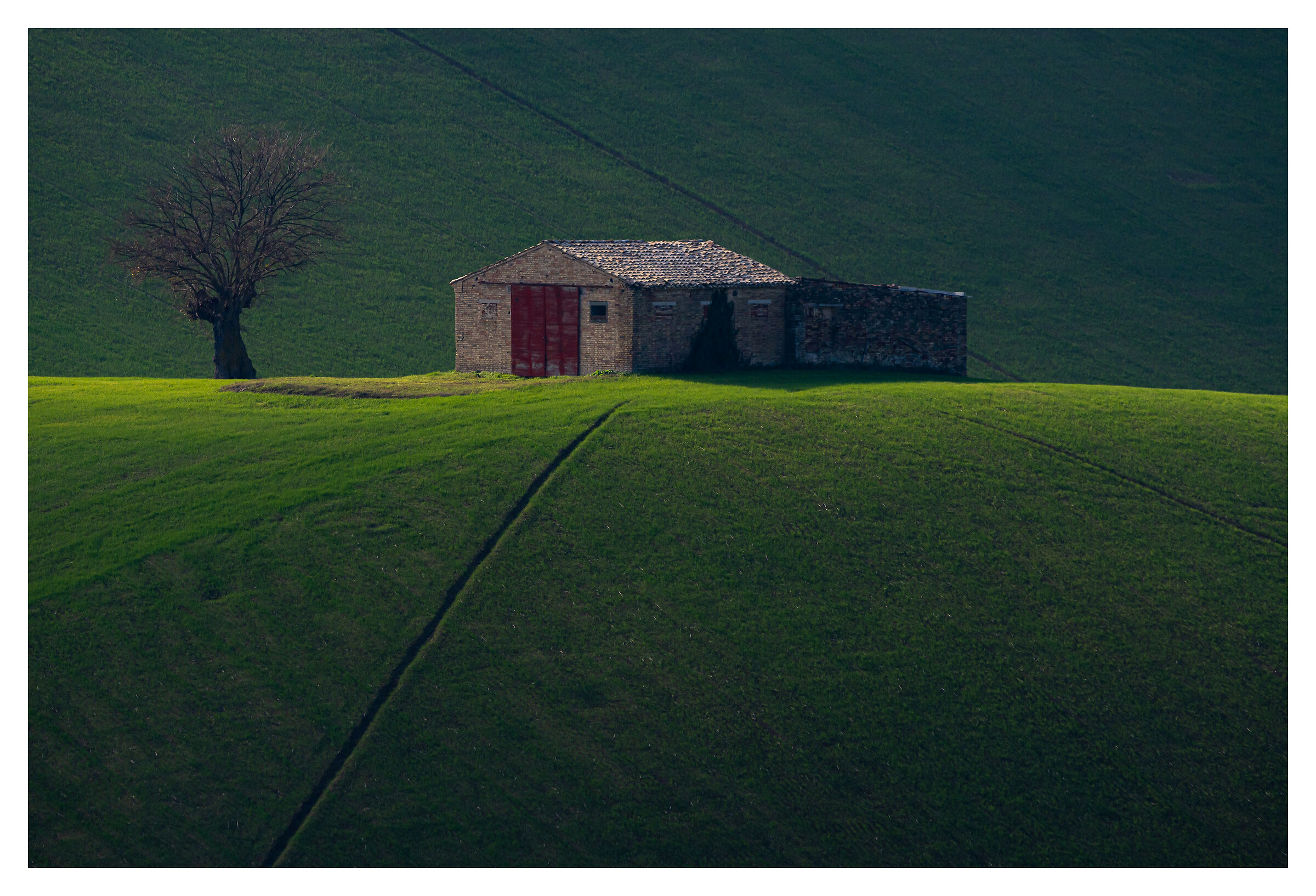 Cercando tra le pieghe della terra