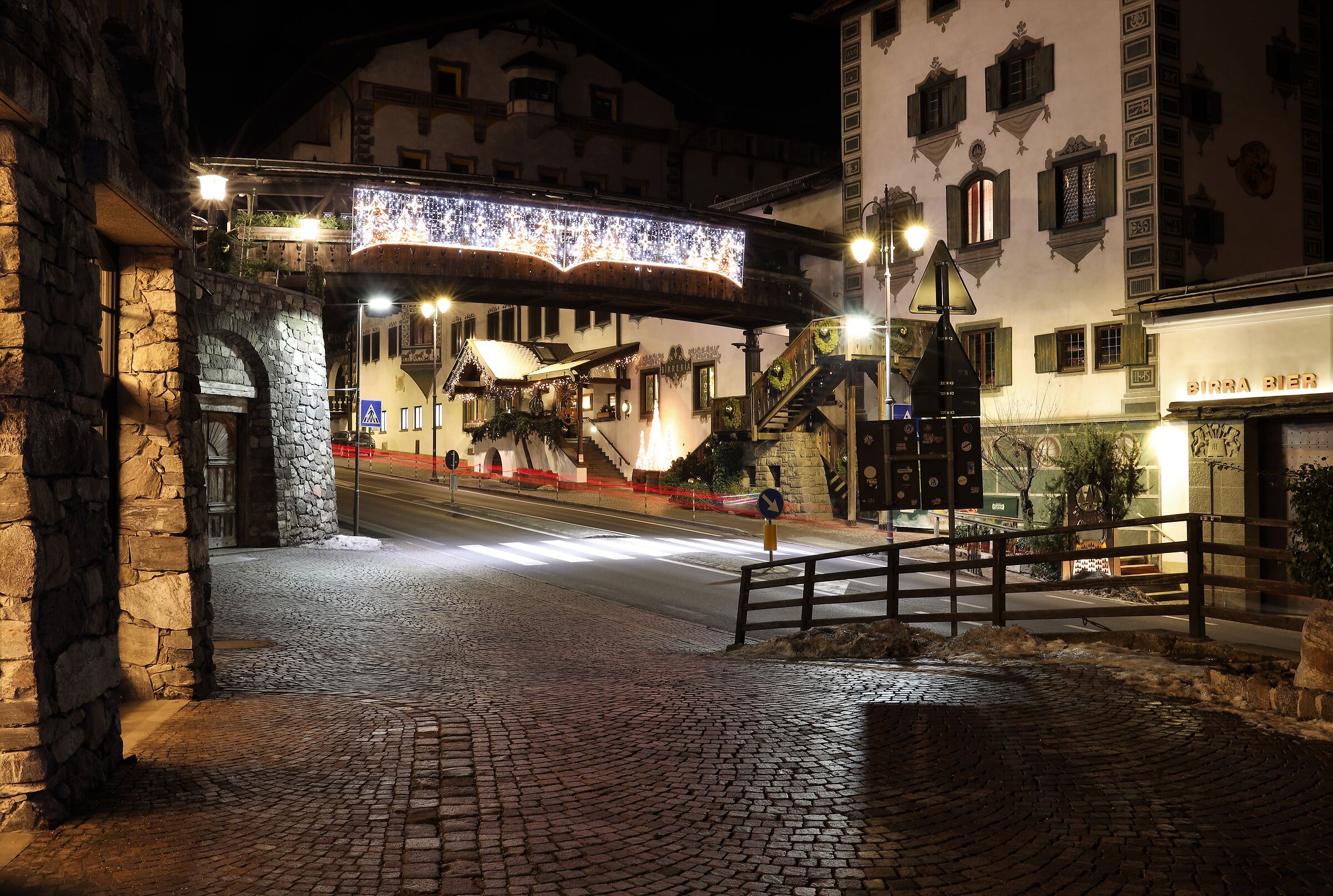 The Christmas Forest