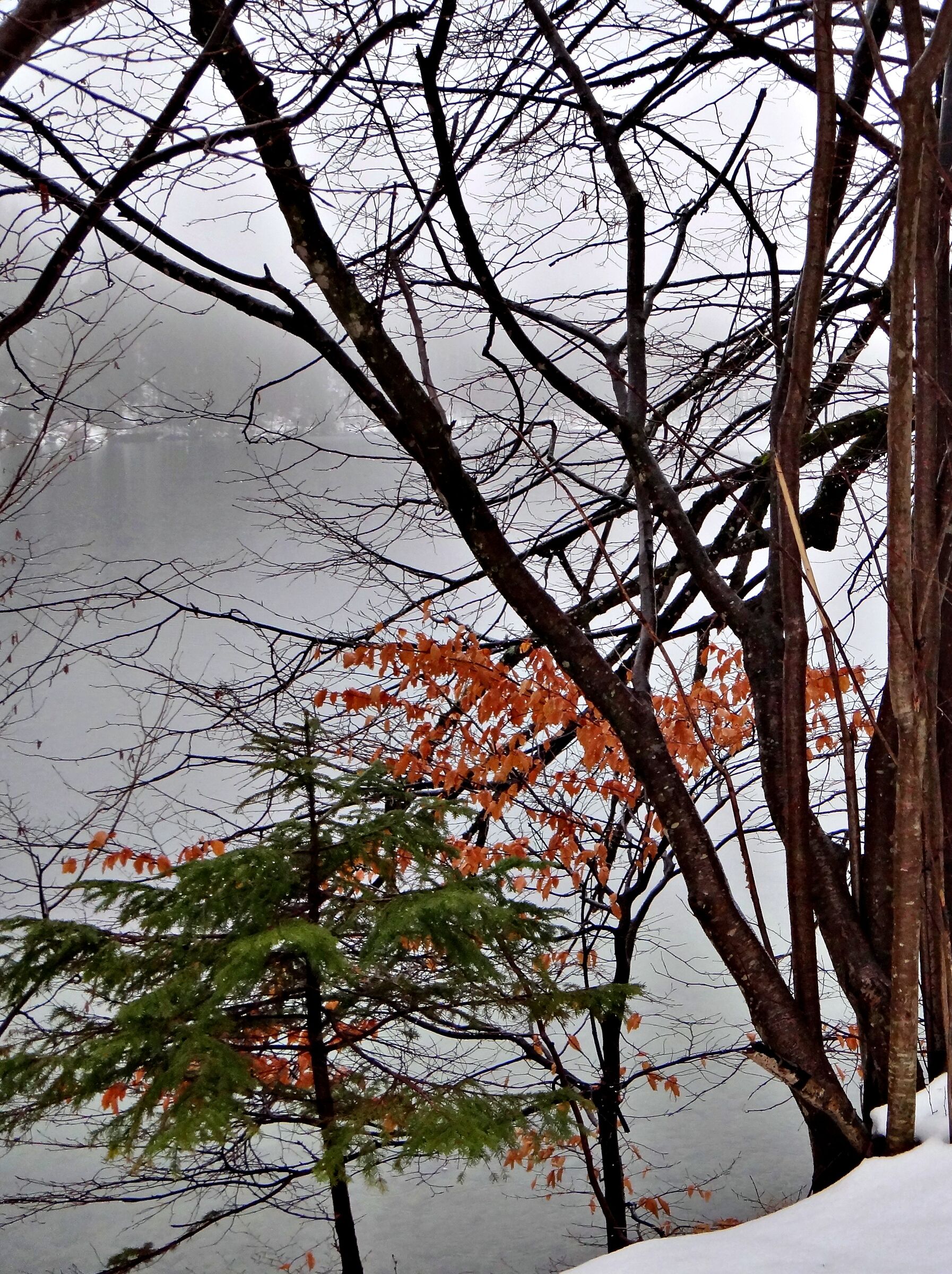 Colori su lago ghiacciato - Baviera