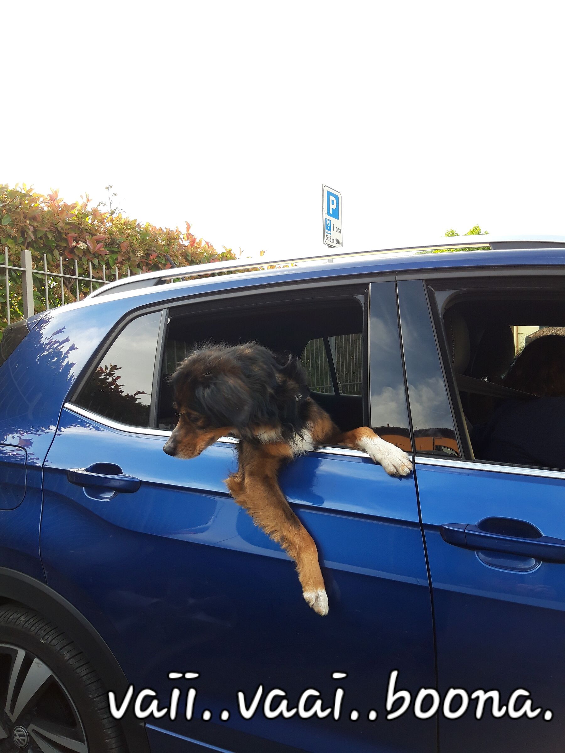 vaiivaii .... boona!