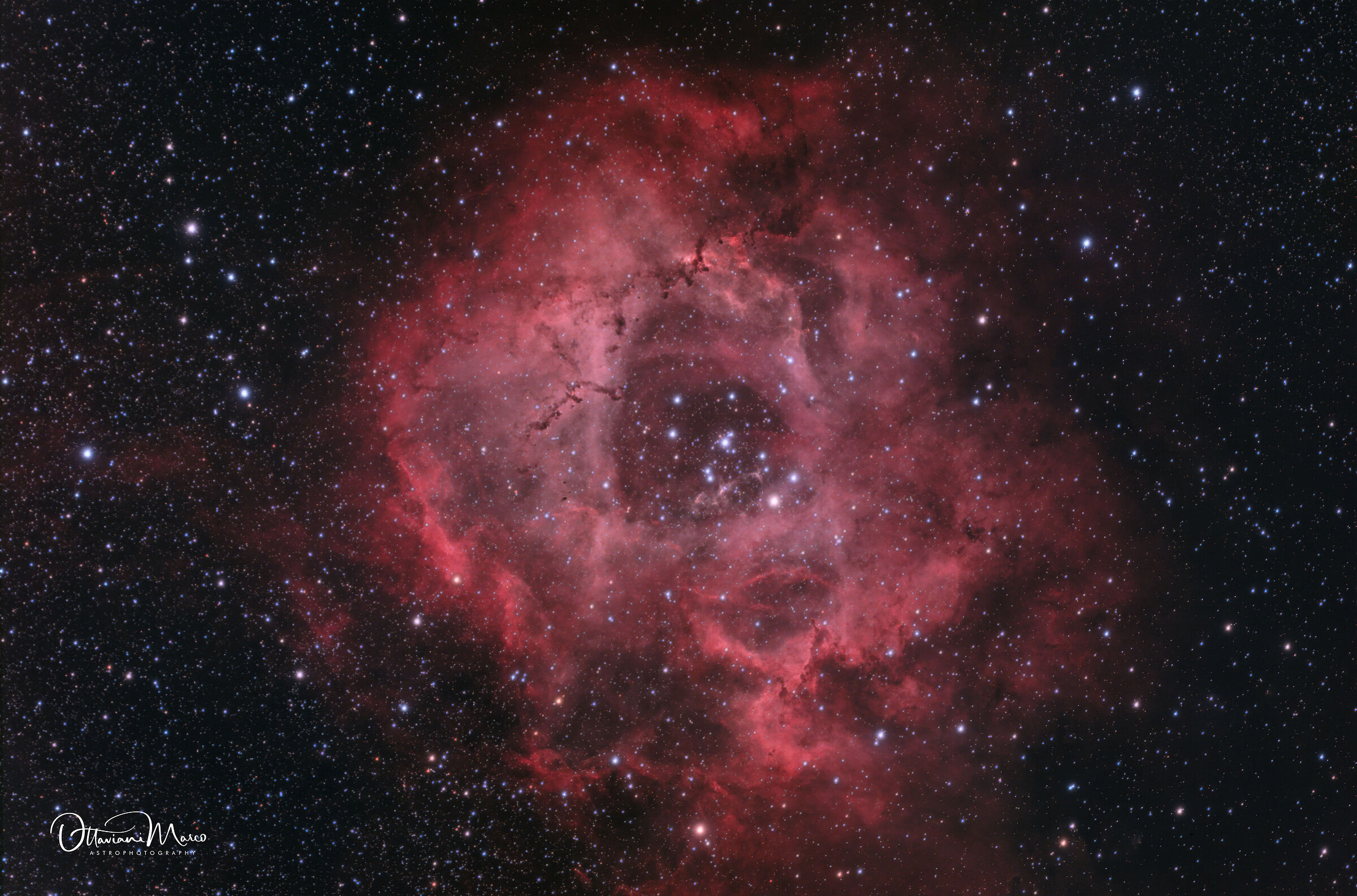 Nebulosa Rosetta