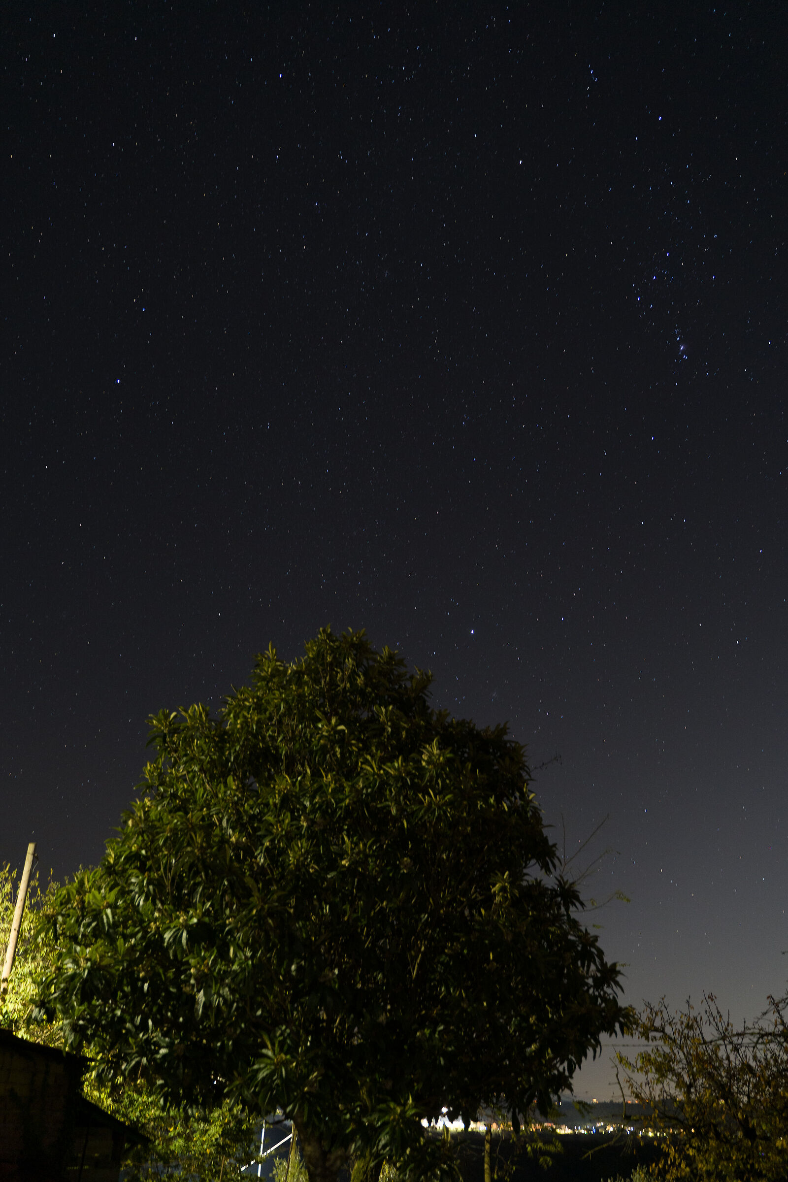Stelle in Sabina