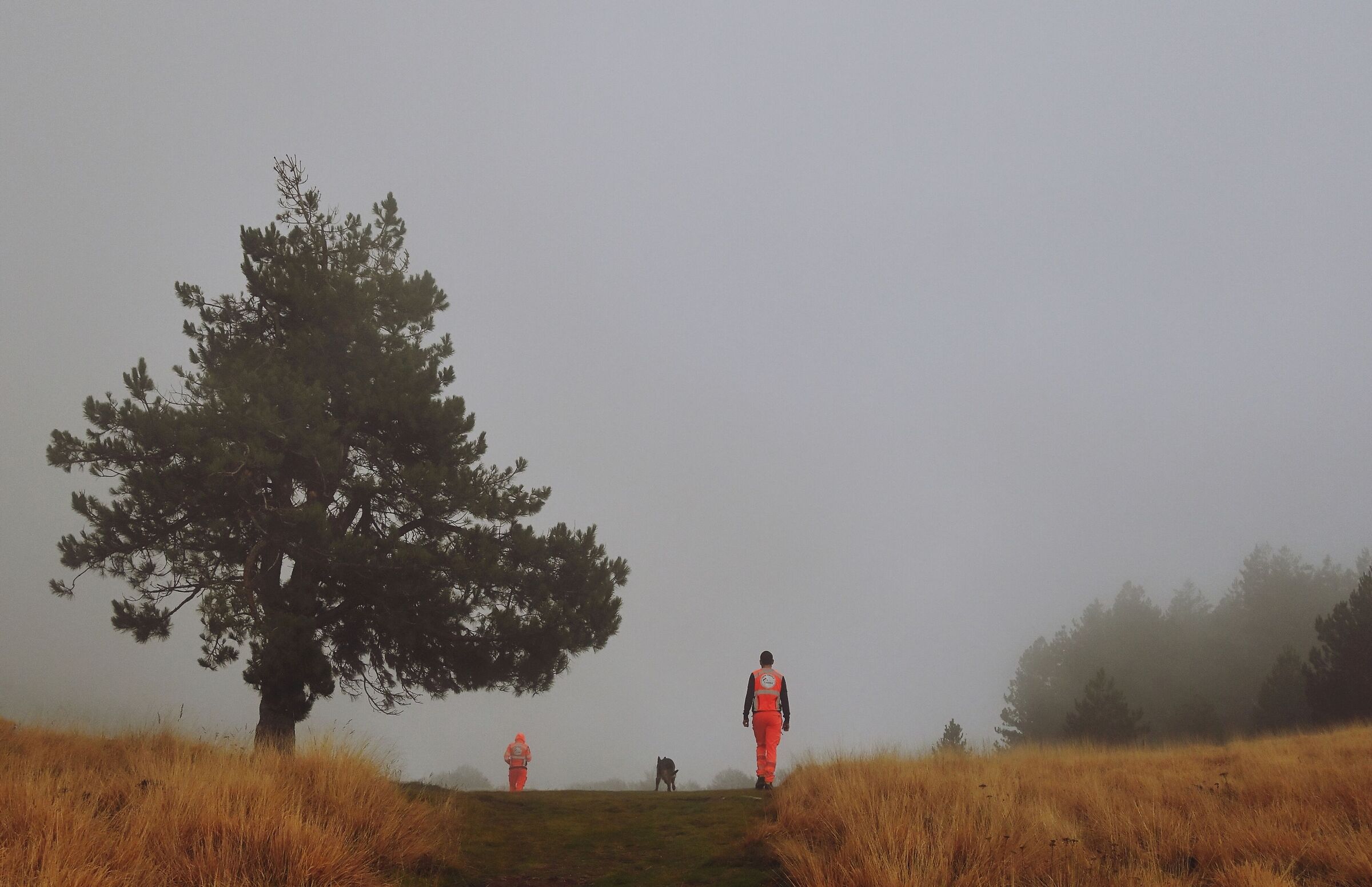 Walk with Me