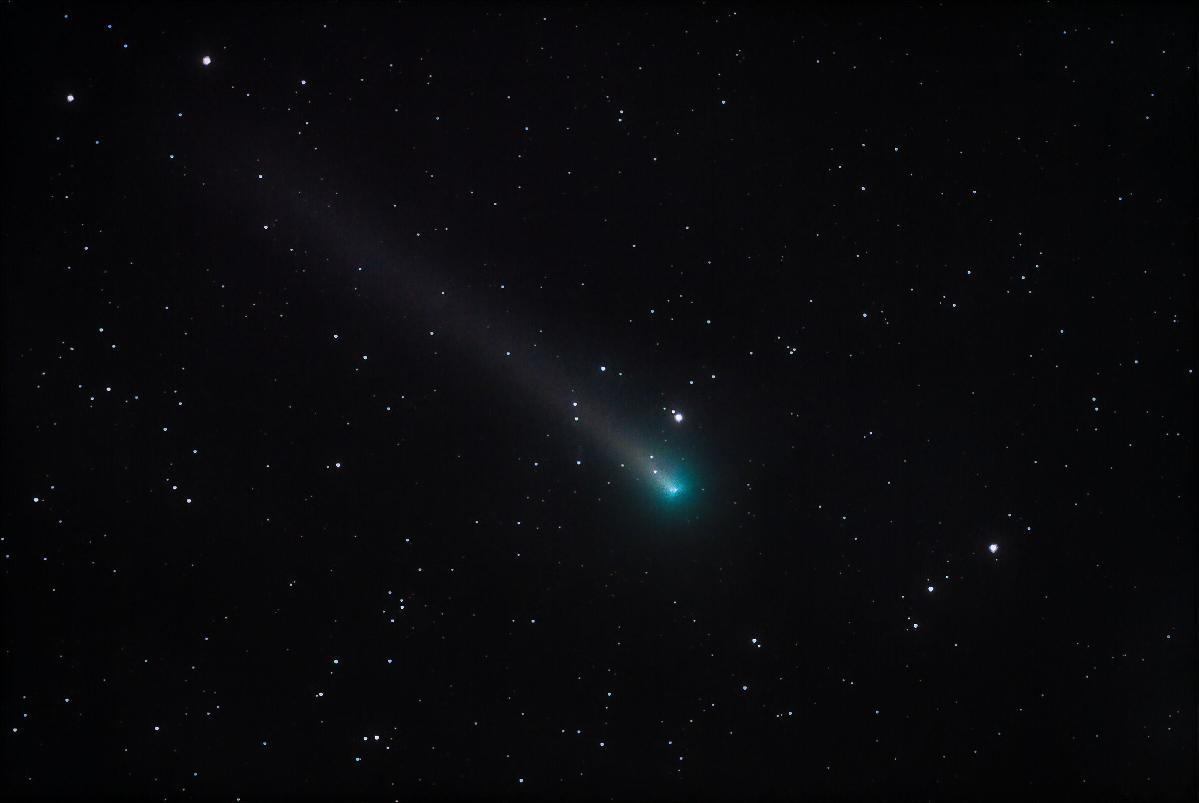 La piccola cometa Leonard