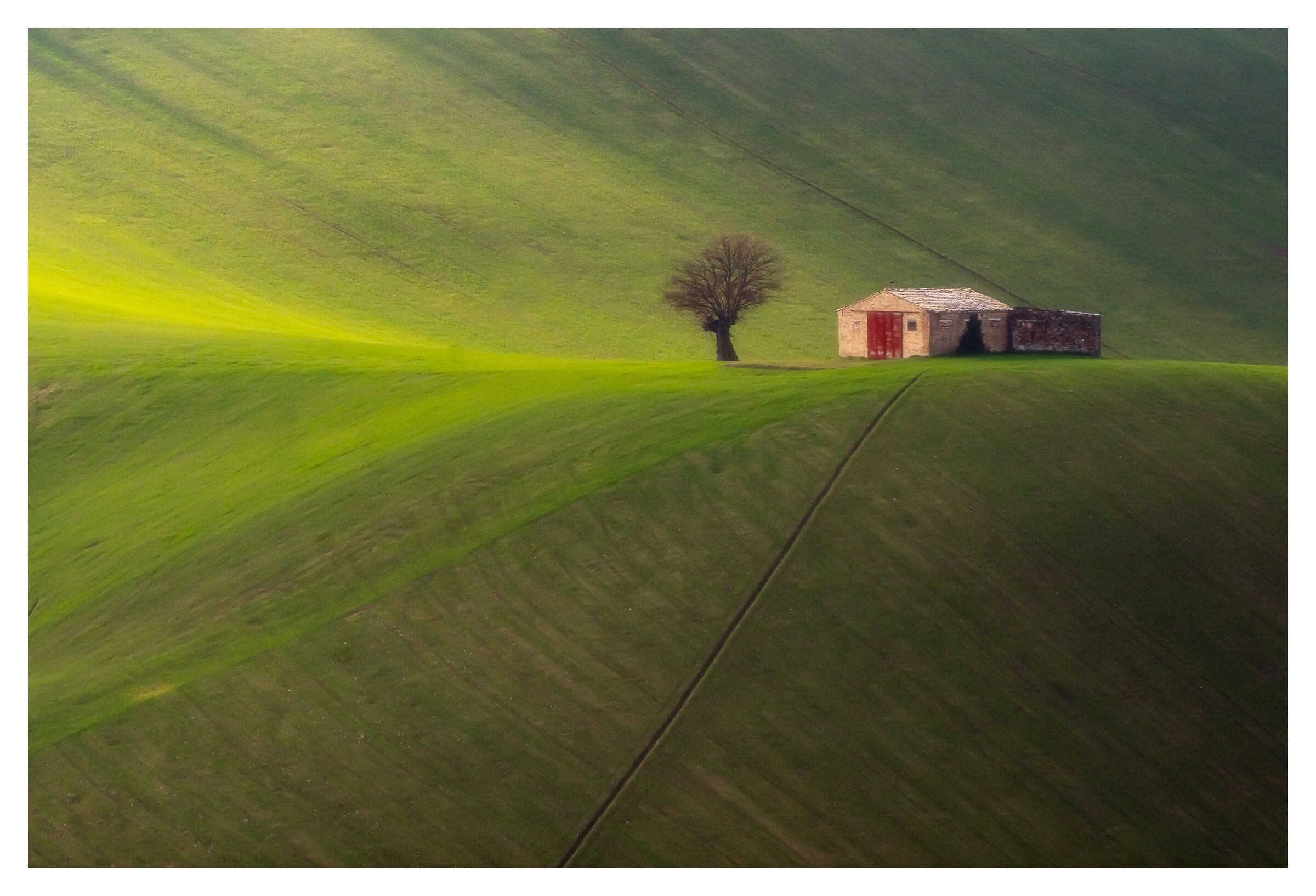 Vanishing point