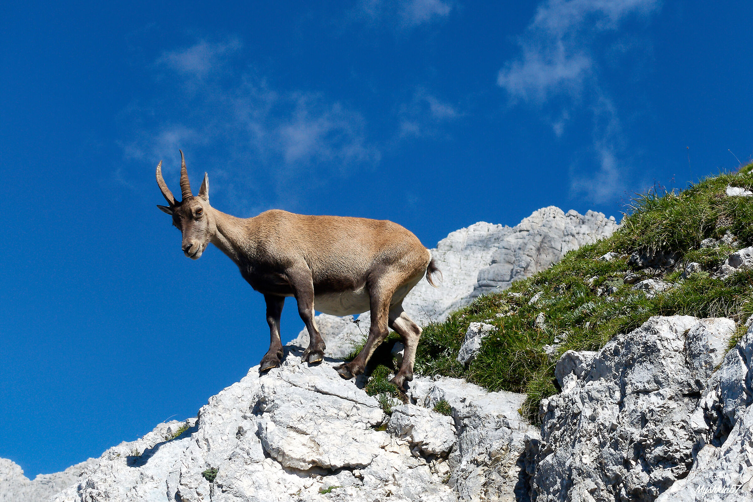 Behind, the Montasio