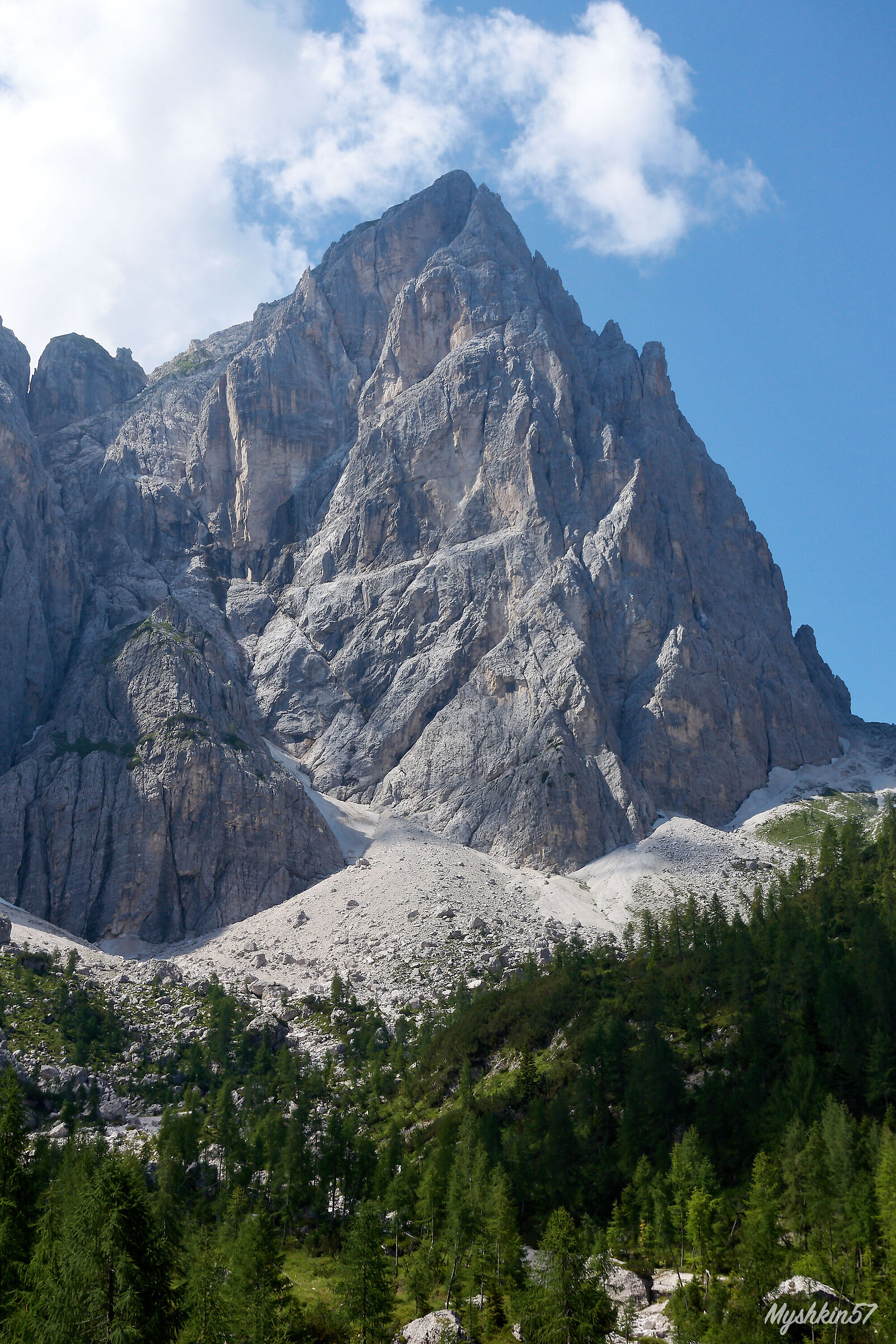Il Fuart dal Pellarini