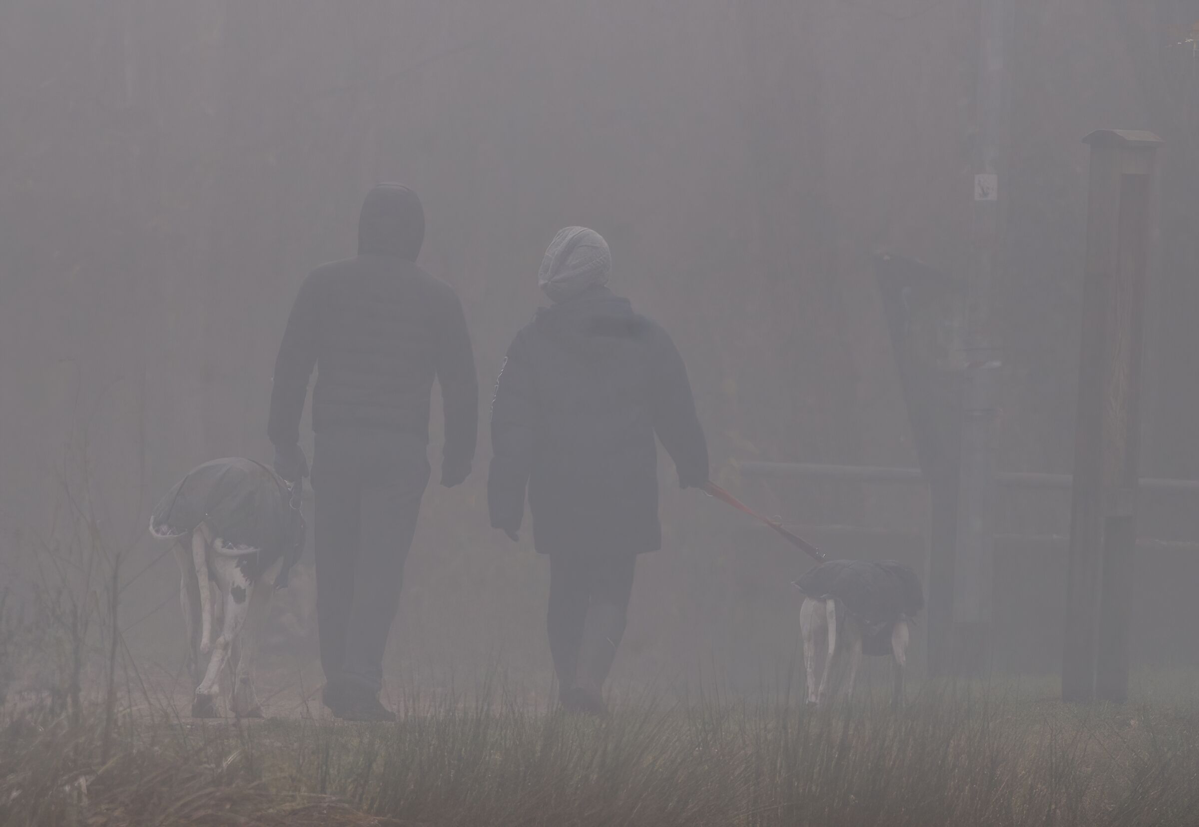 Passeggiata nella nebbia