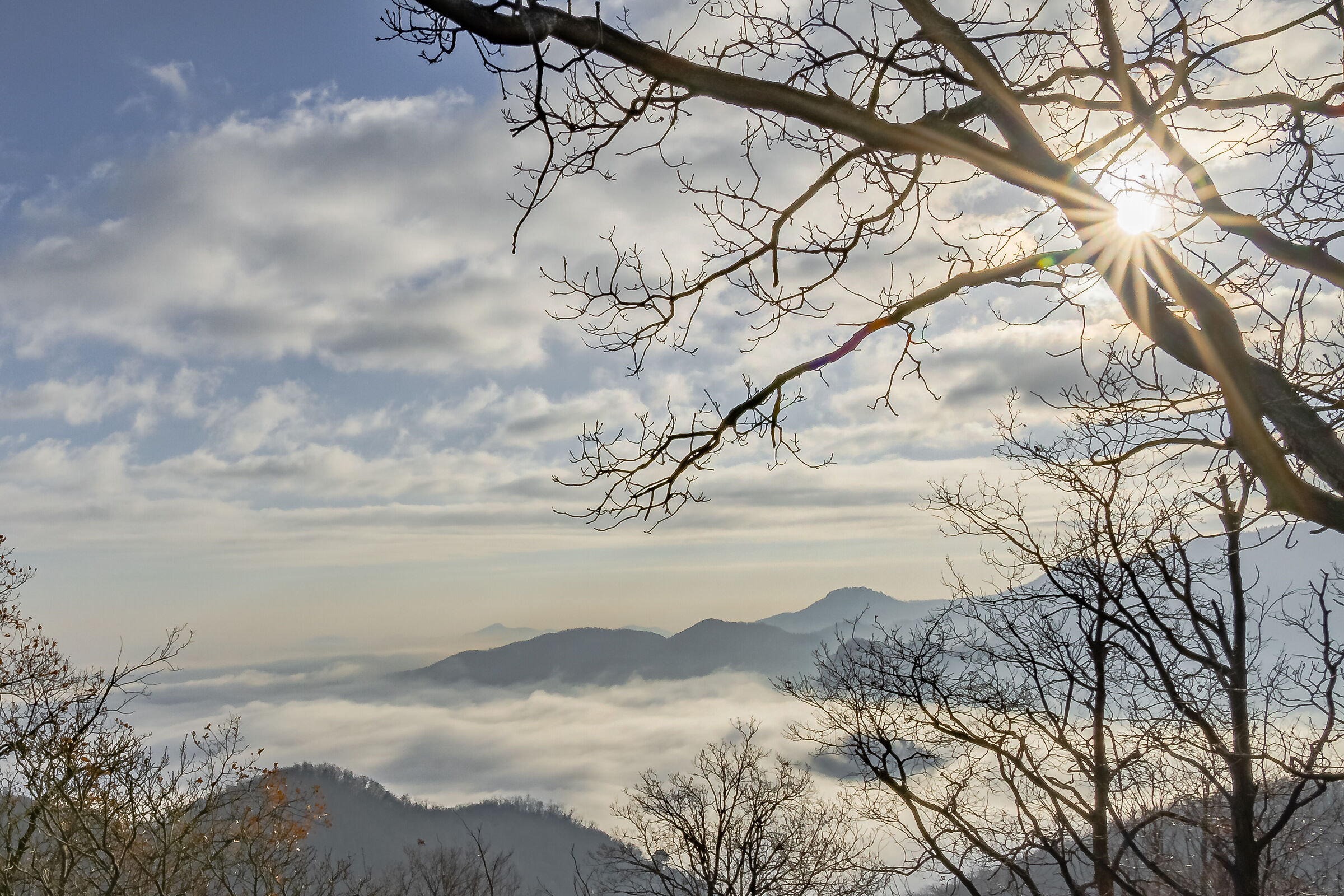 Fog in the hills