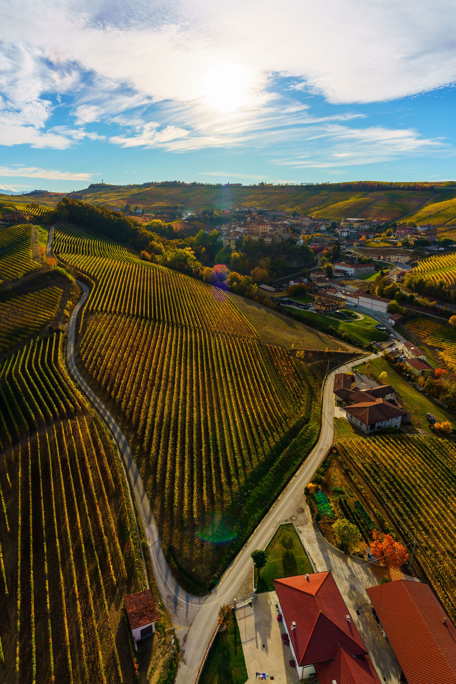 Langhe dalla mongolfiera