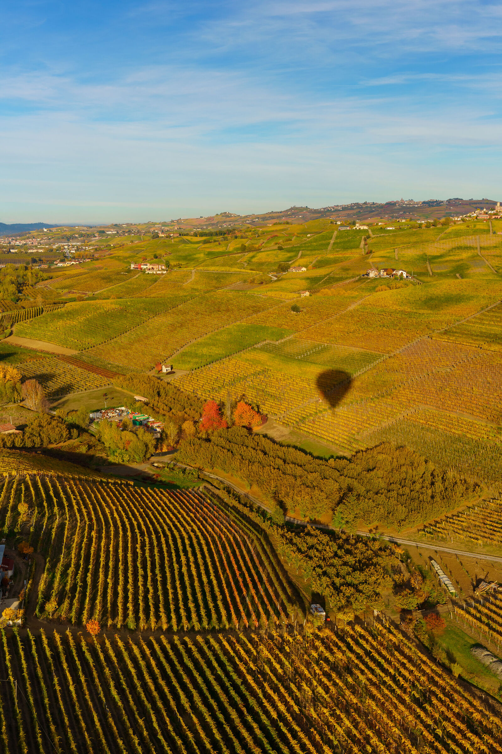 Langhe dalla mongolfiera