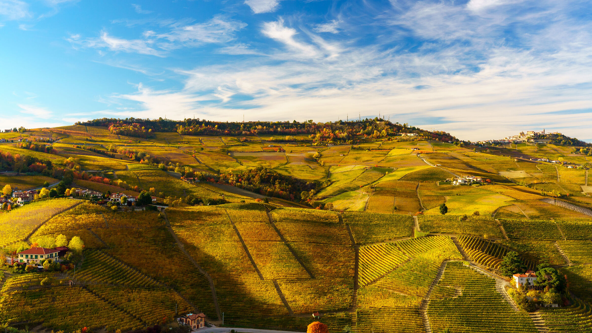Langhe dalla mongolfiera