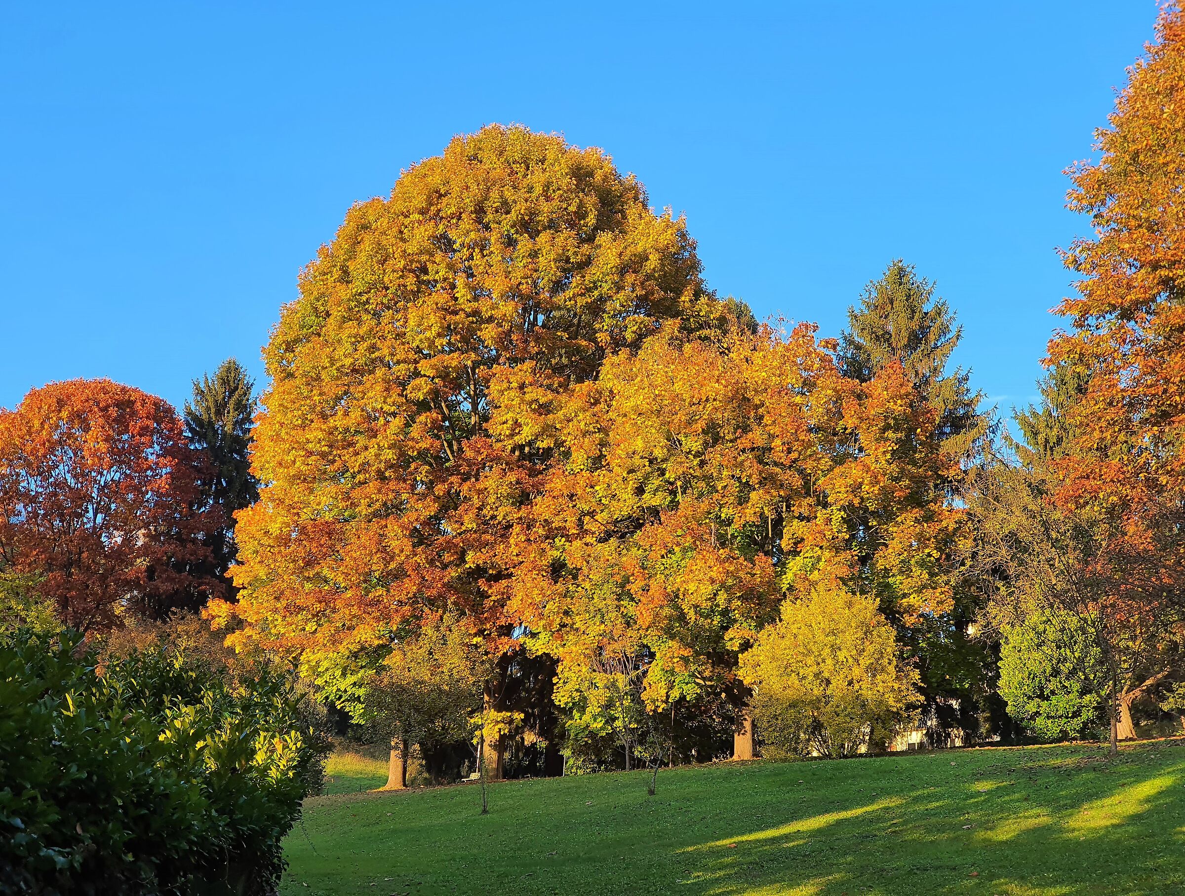 Autumn in Turin