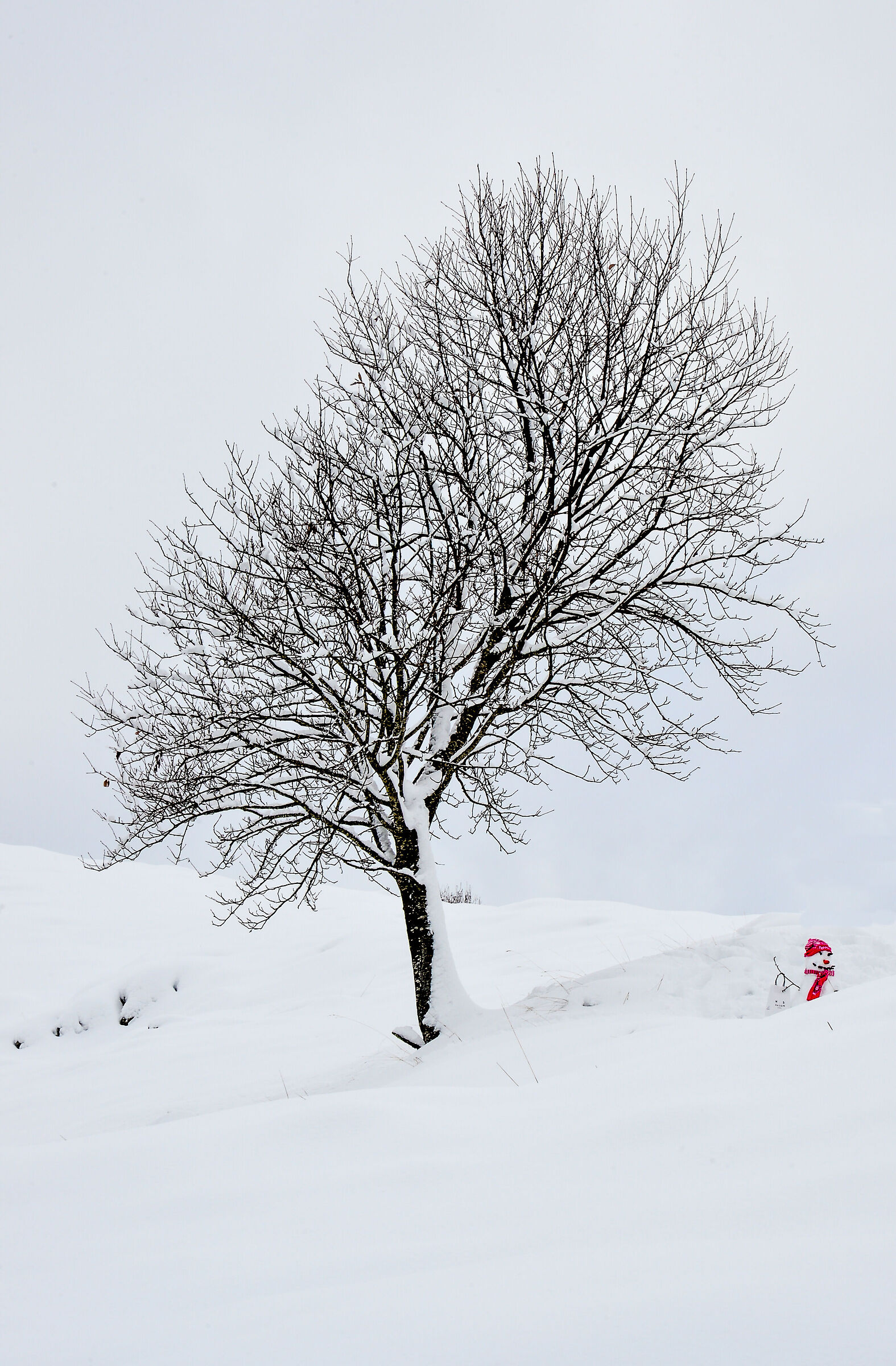 SNOWMAN