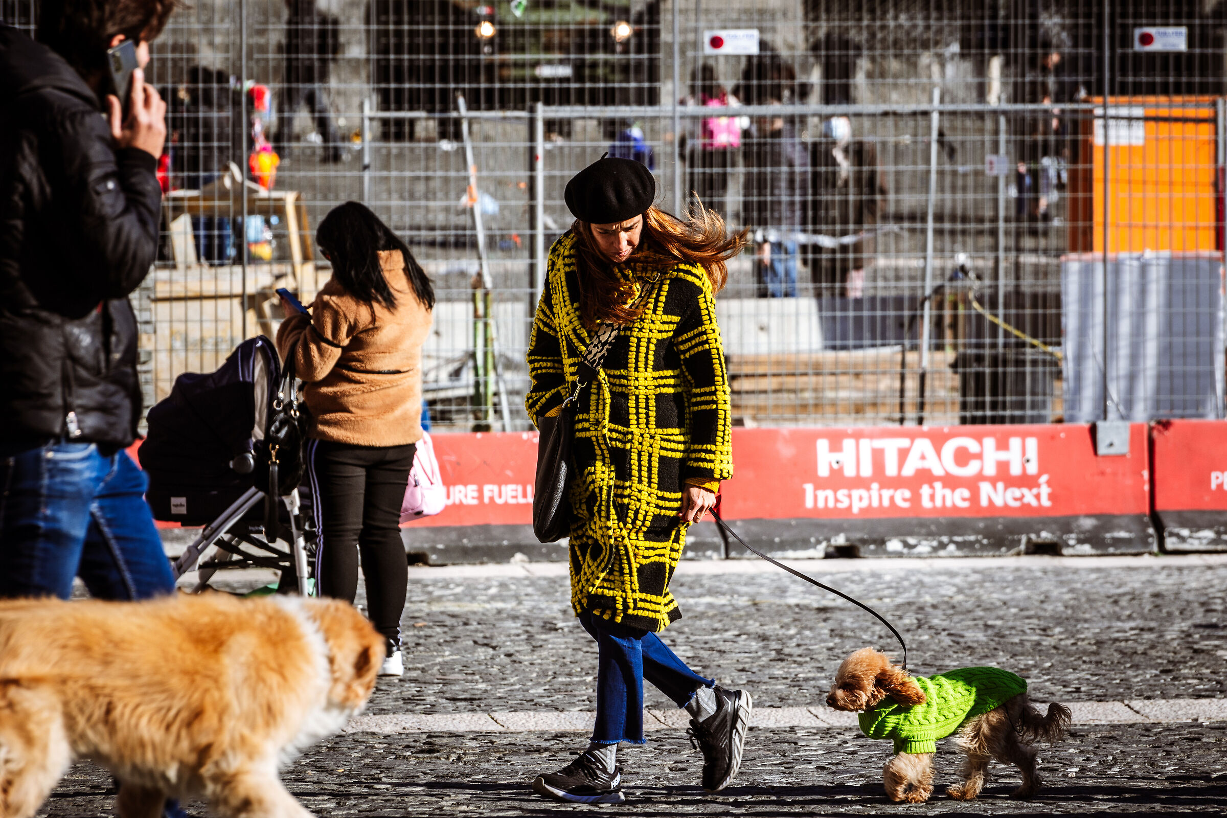 A passeggio con il cane