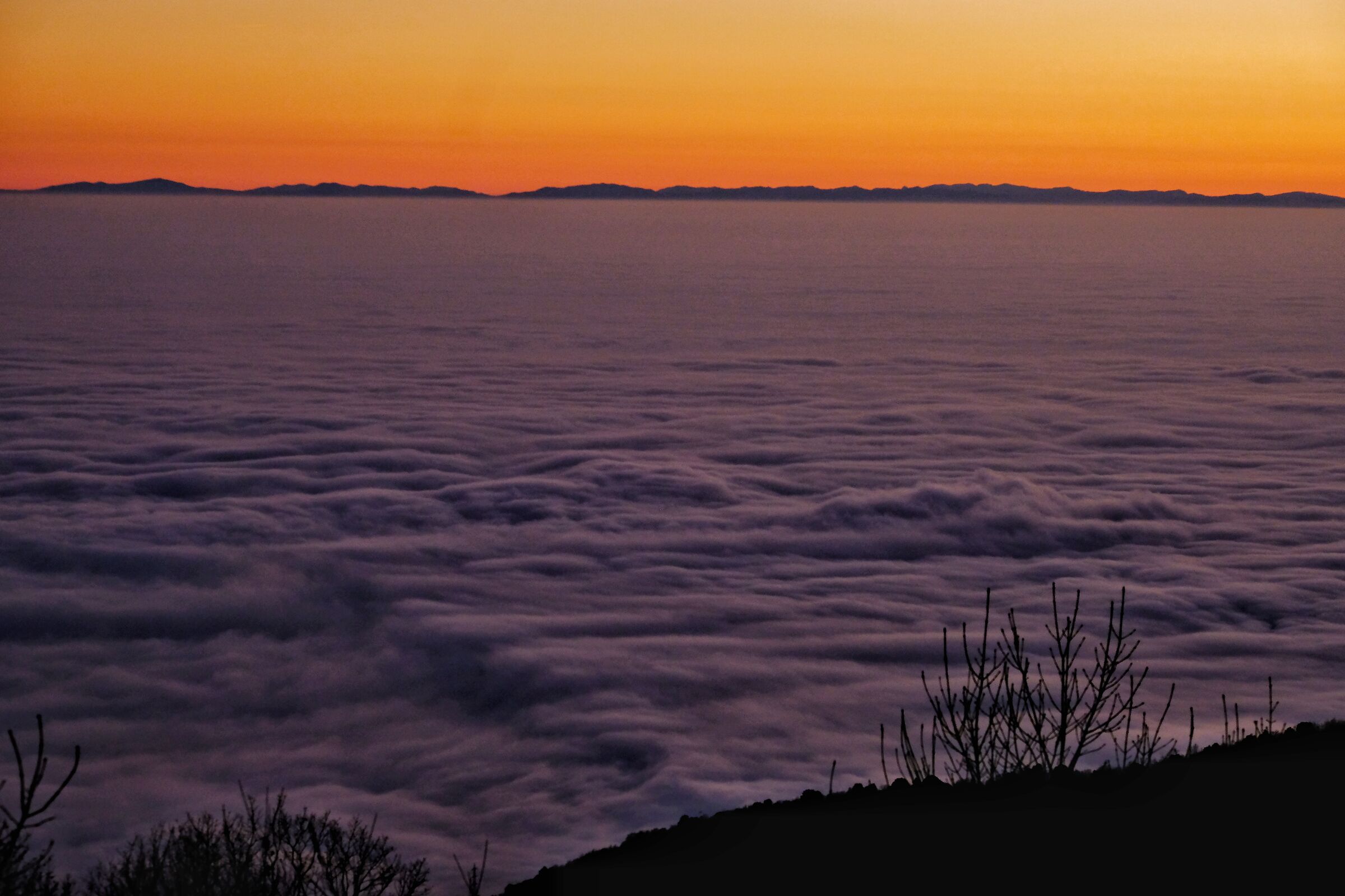 Low clouds
