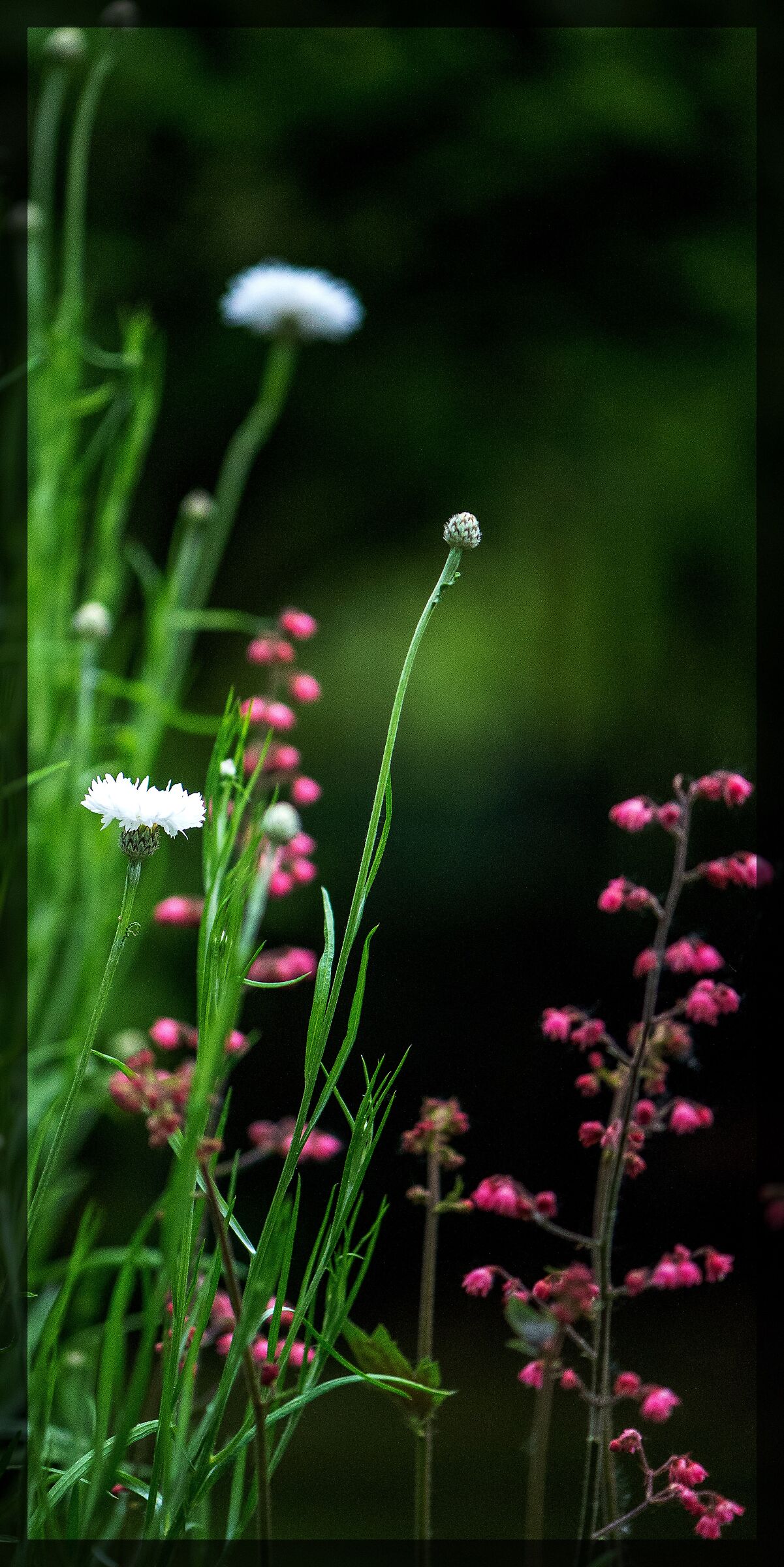 Untitled Photo