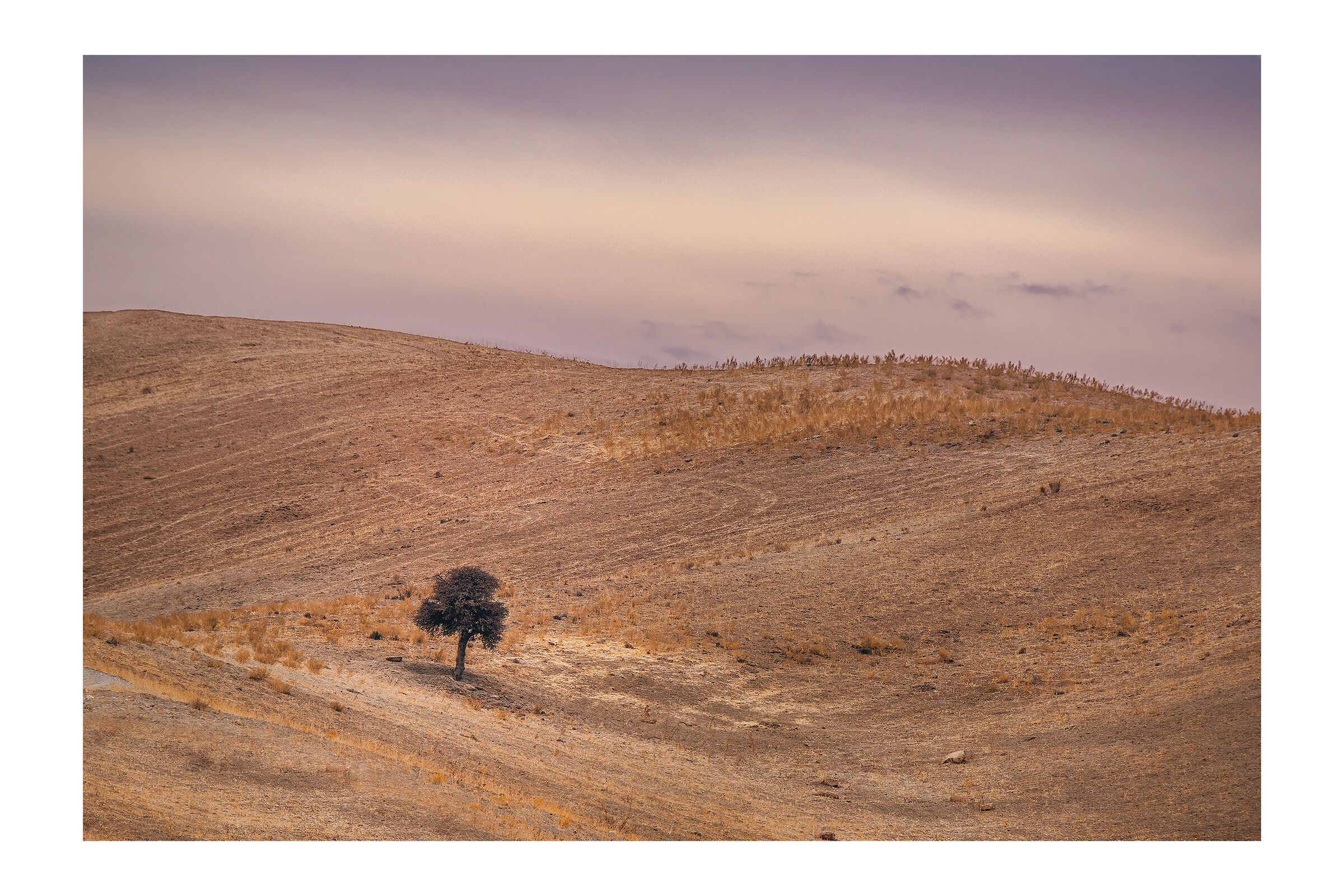 In Loneliness of a Big Field