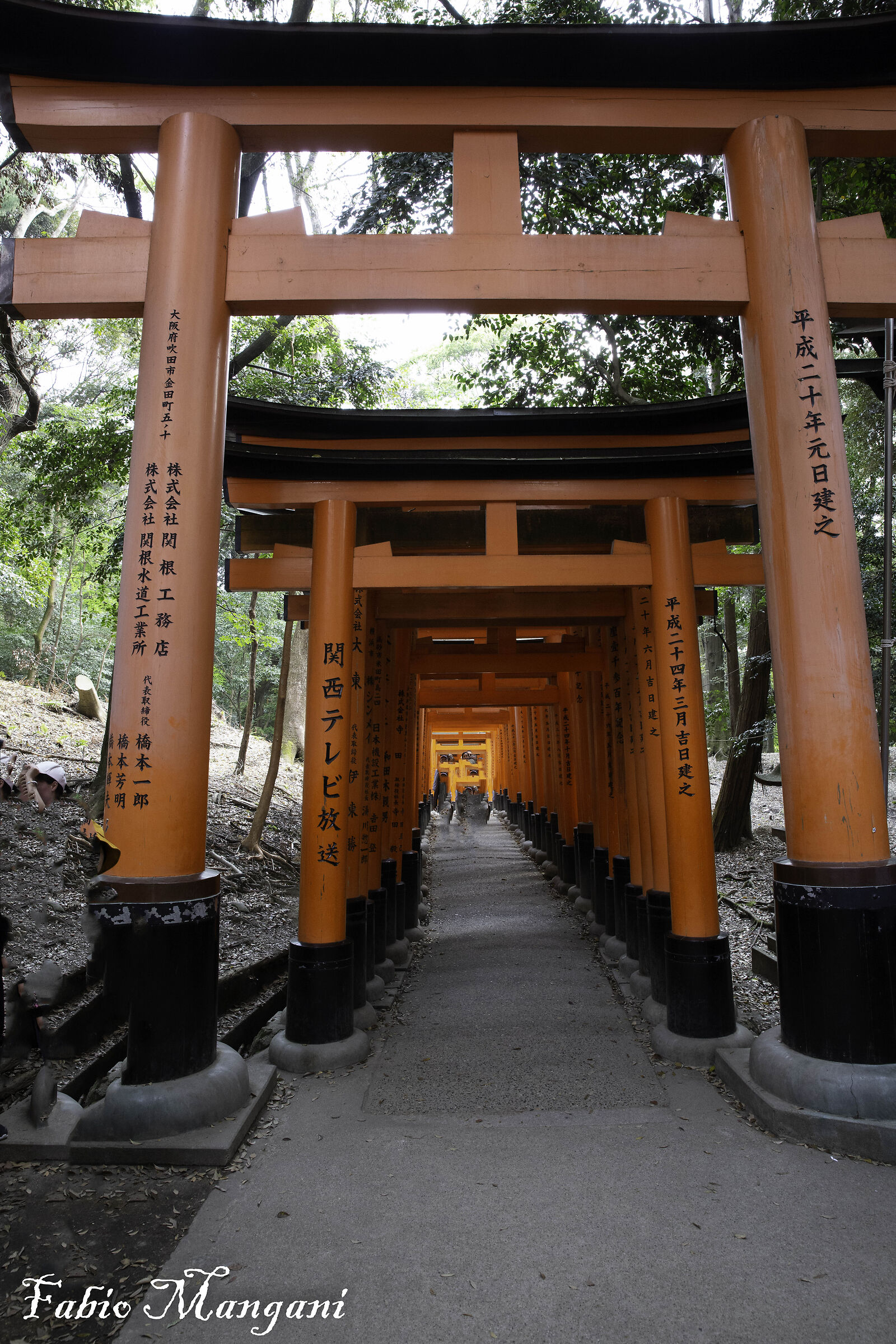 tori di nara -japan