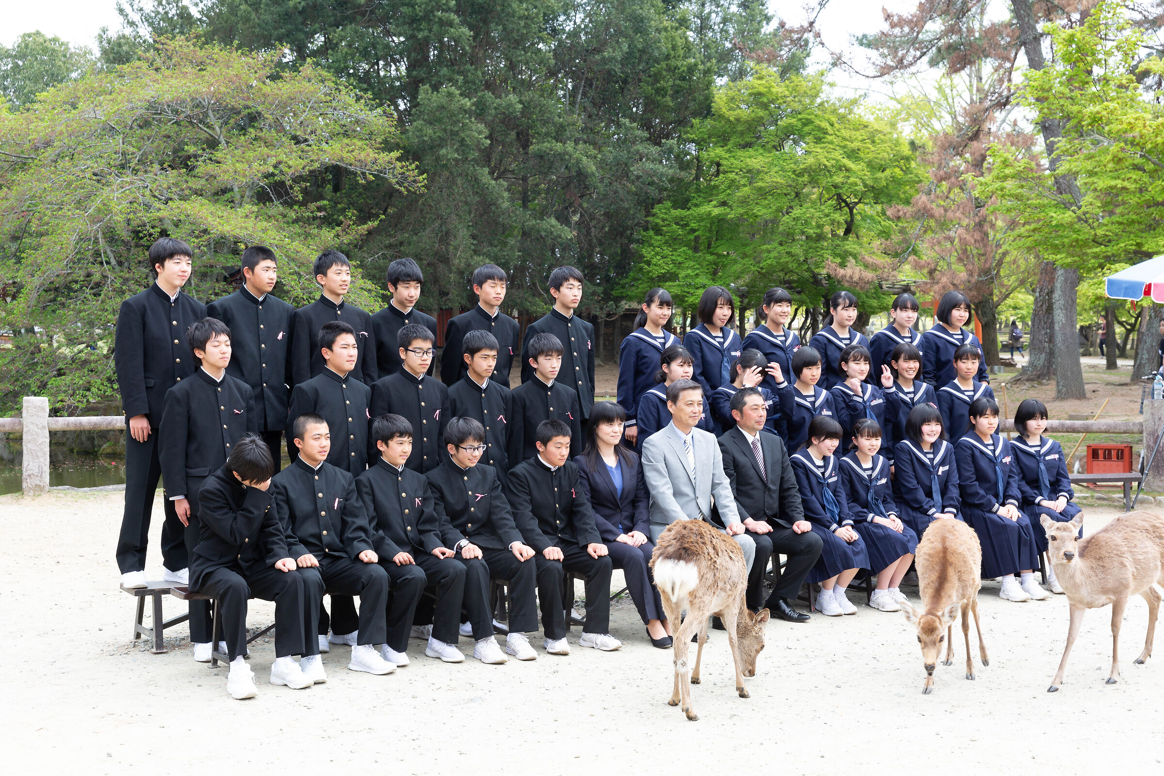 nara .japan