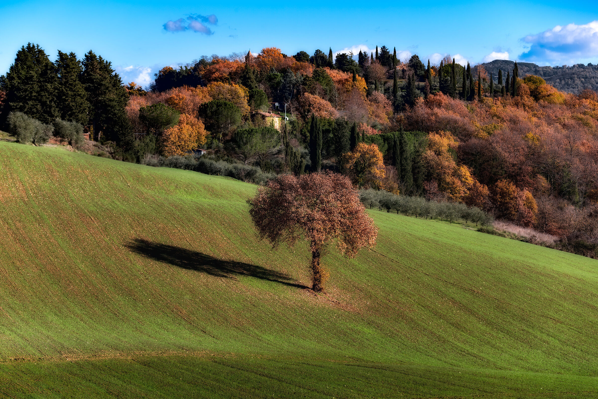 dintorni di citta' della pieve
