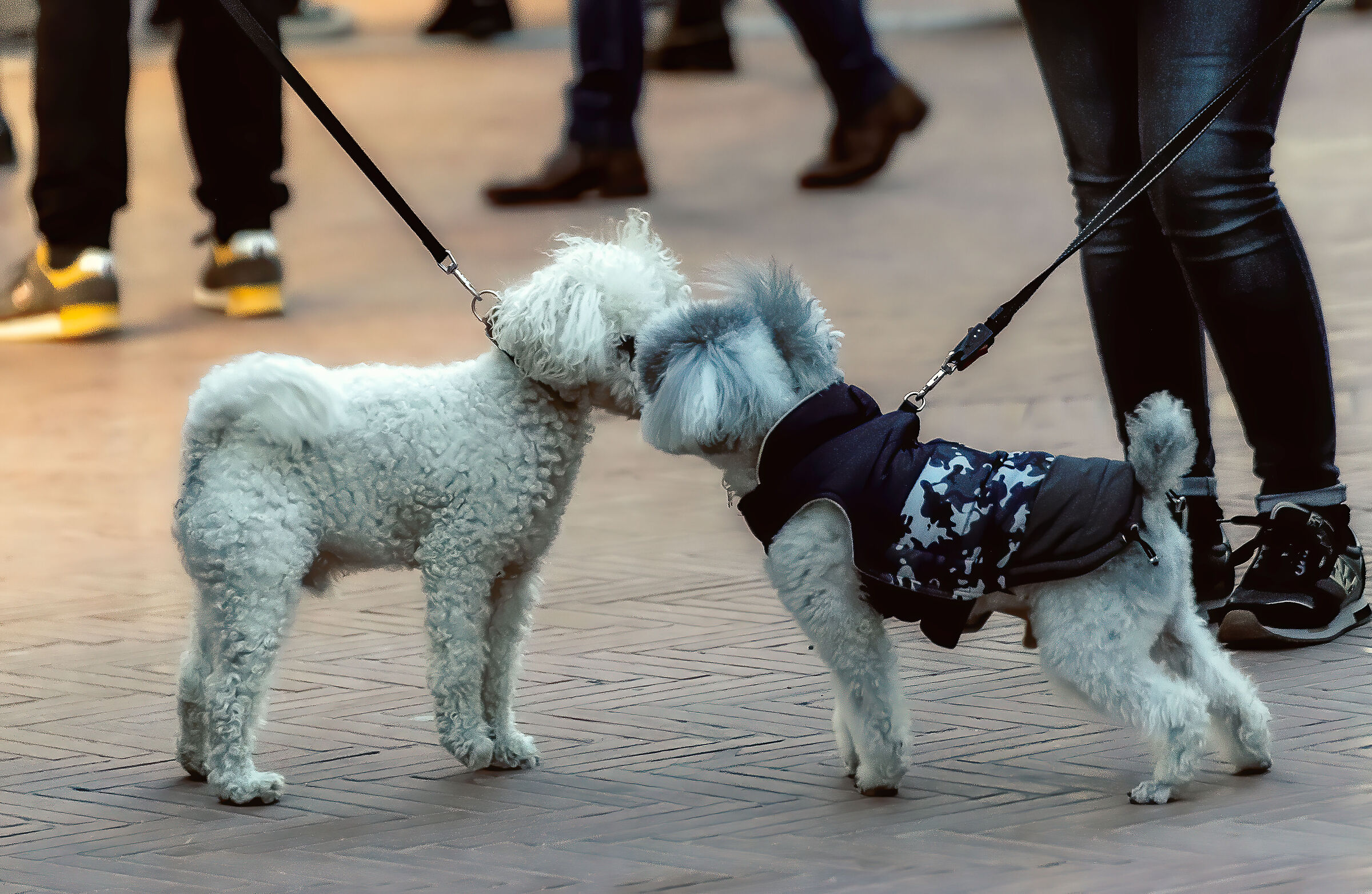 montepulciano mercatini 3