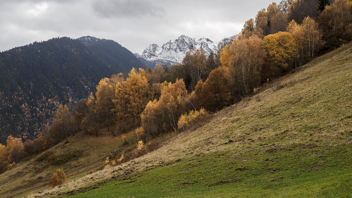 Autumn