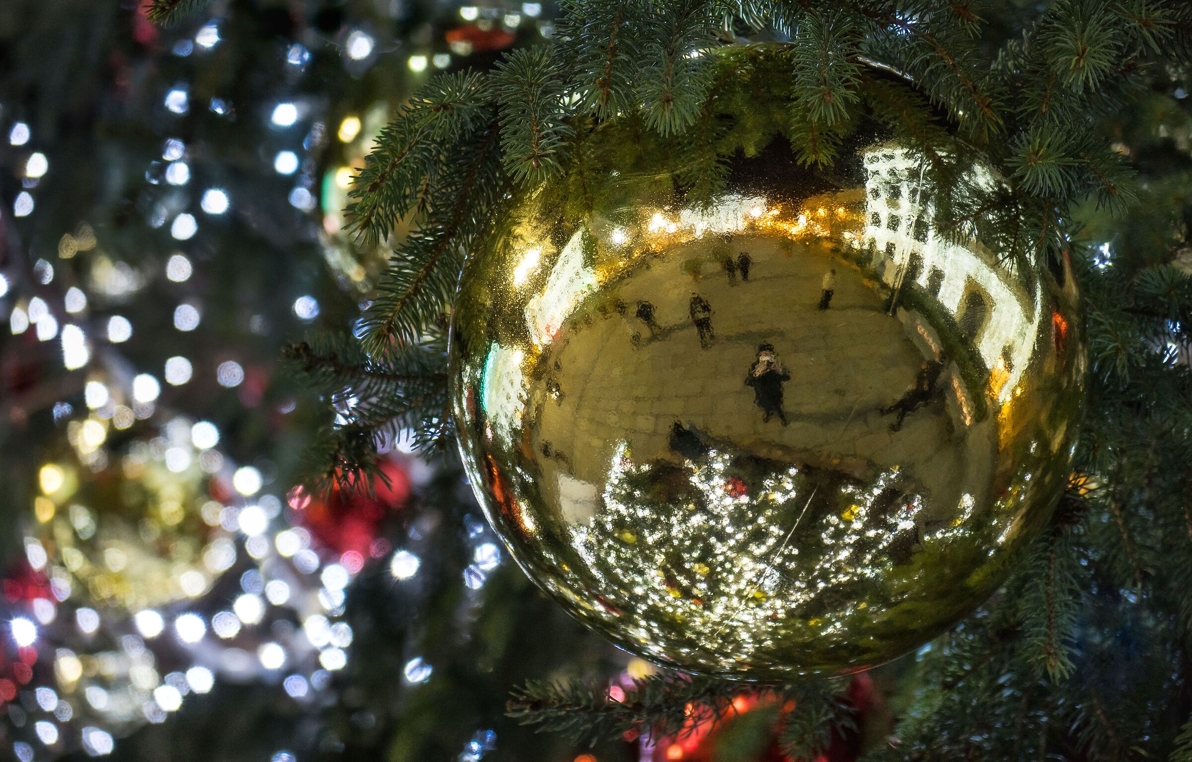 Rockin' around the Christmas tree