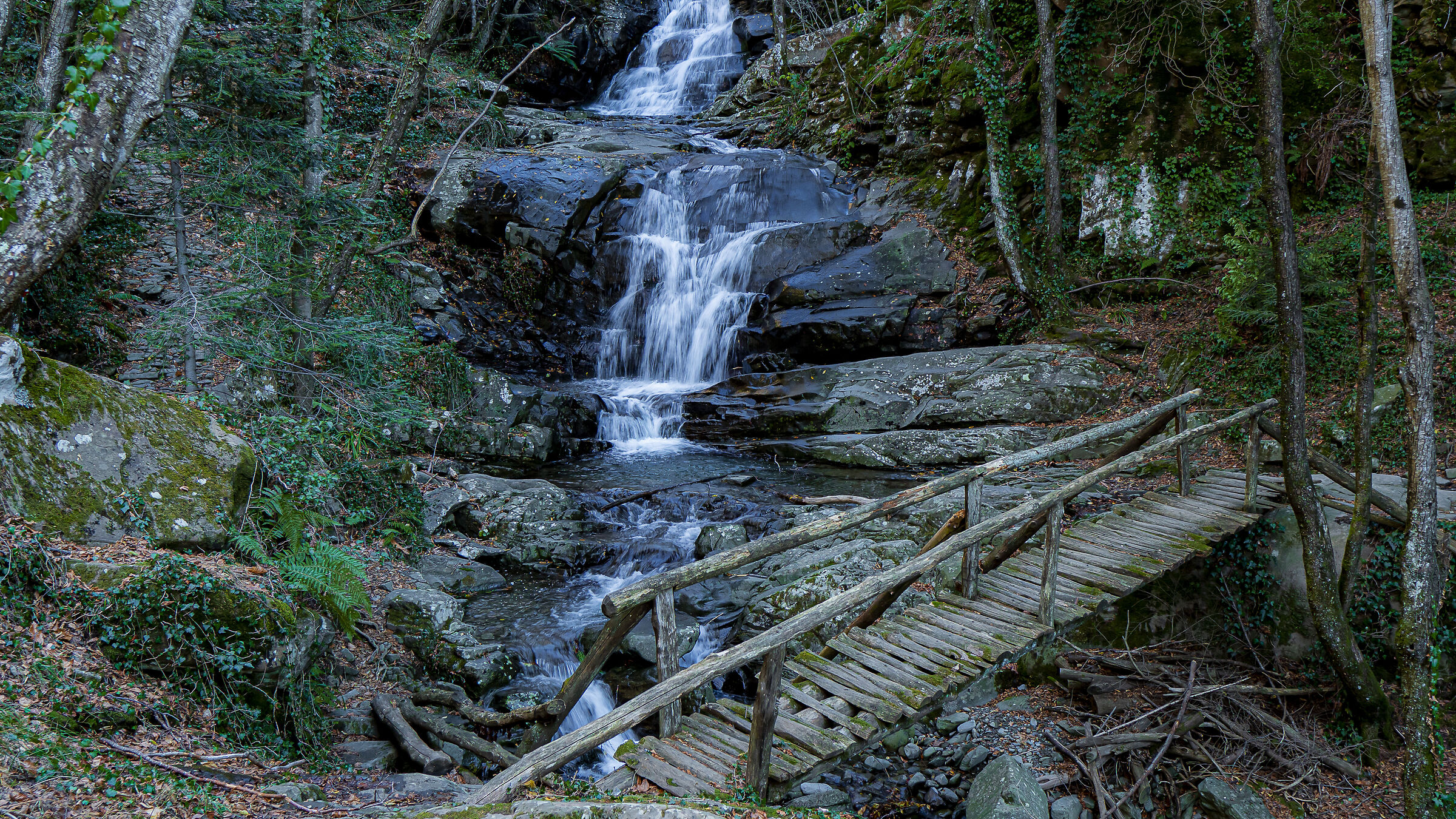 On the cai 23 pratomagno (AR) trail