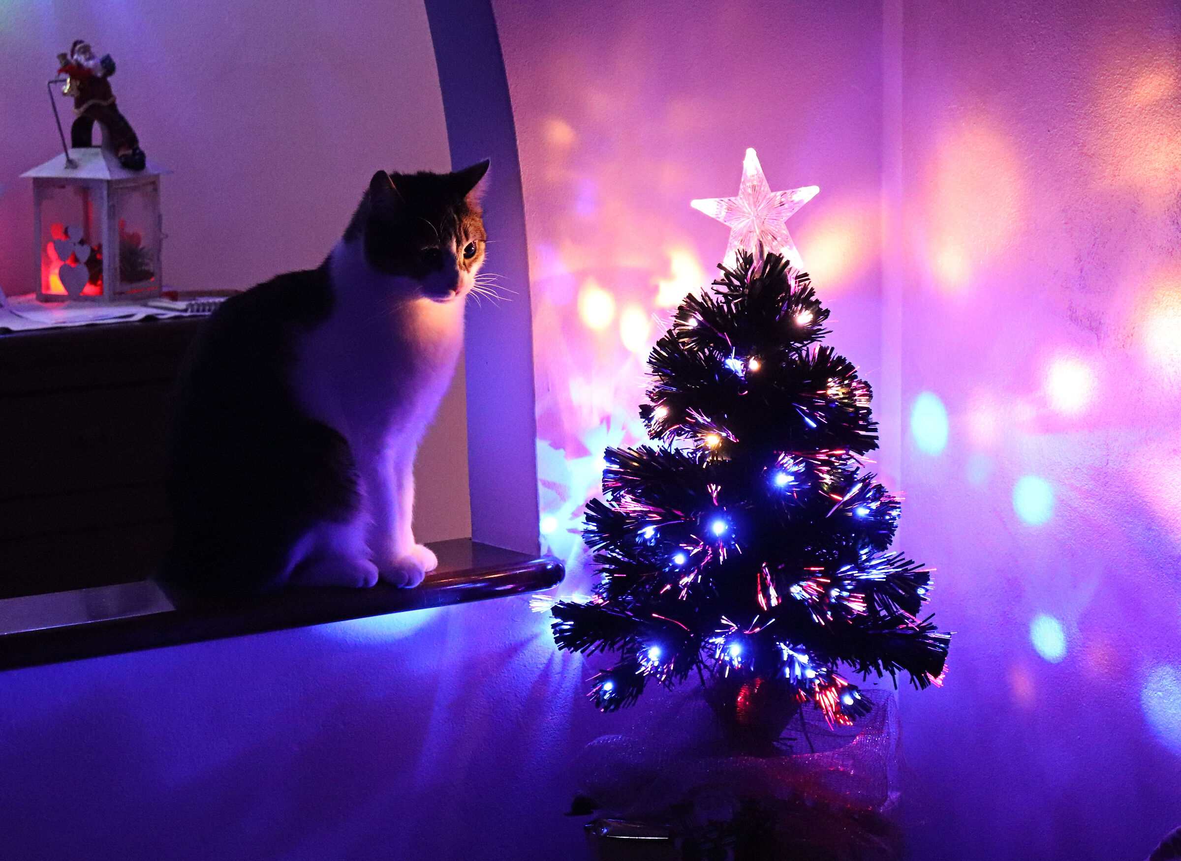 Tentazioni.....sto solo guardando