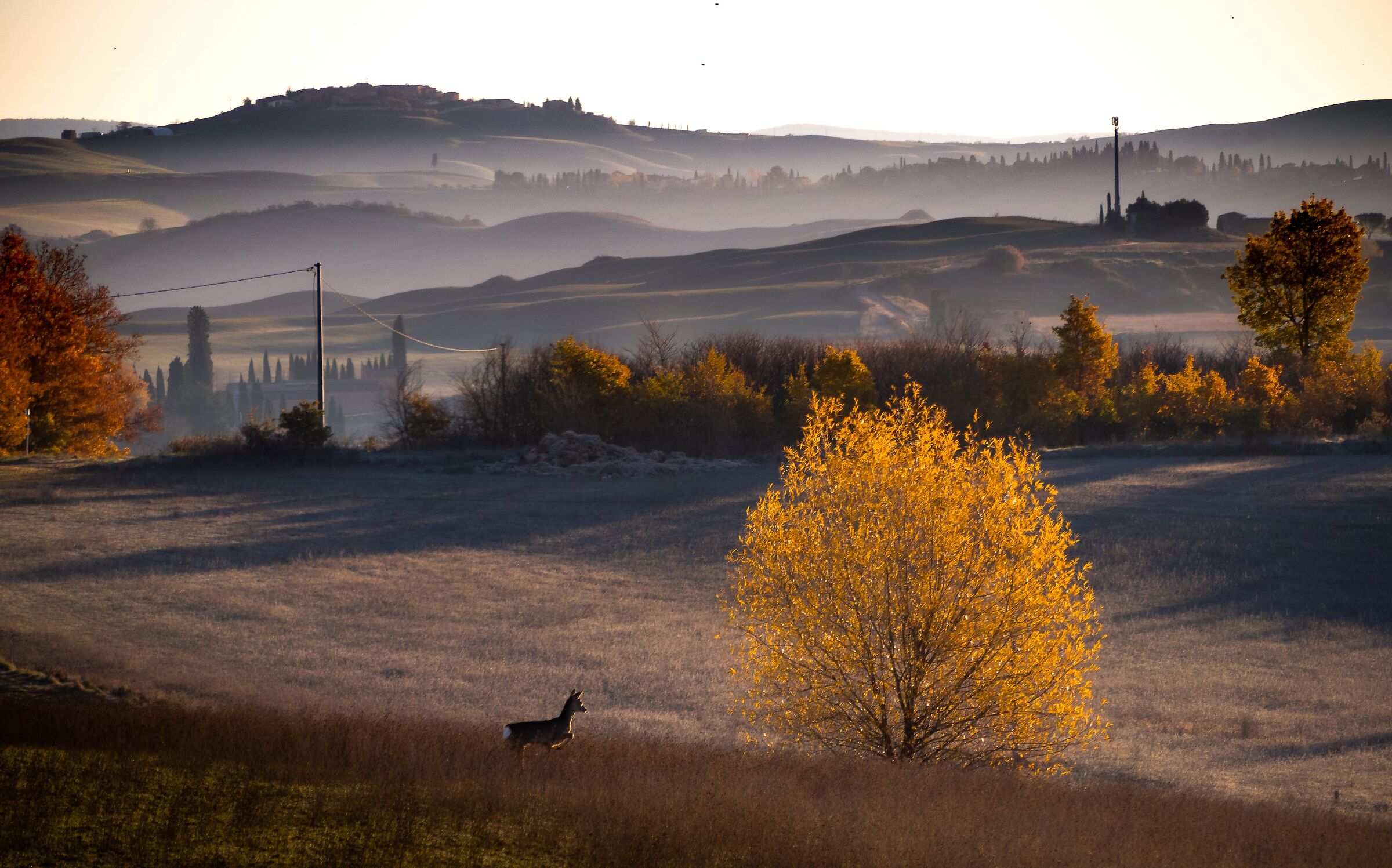 Campagna Senese