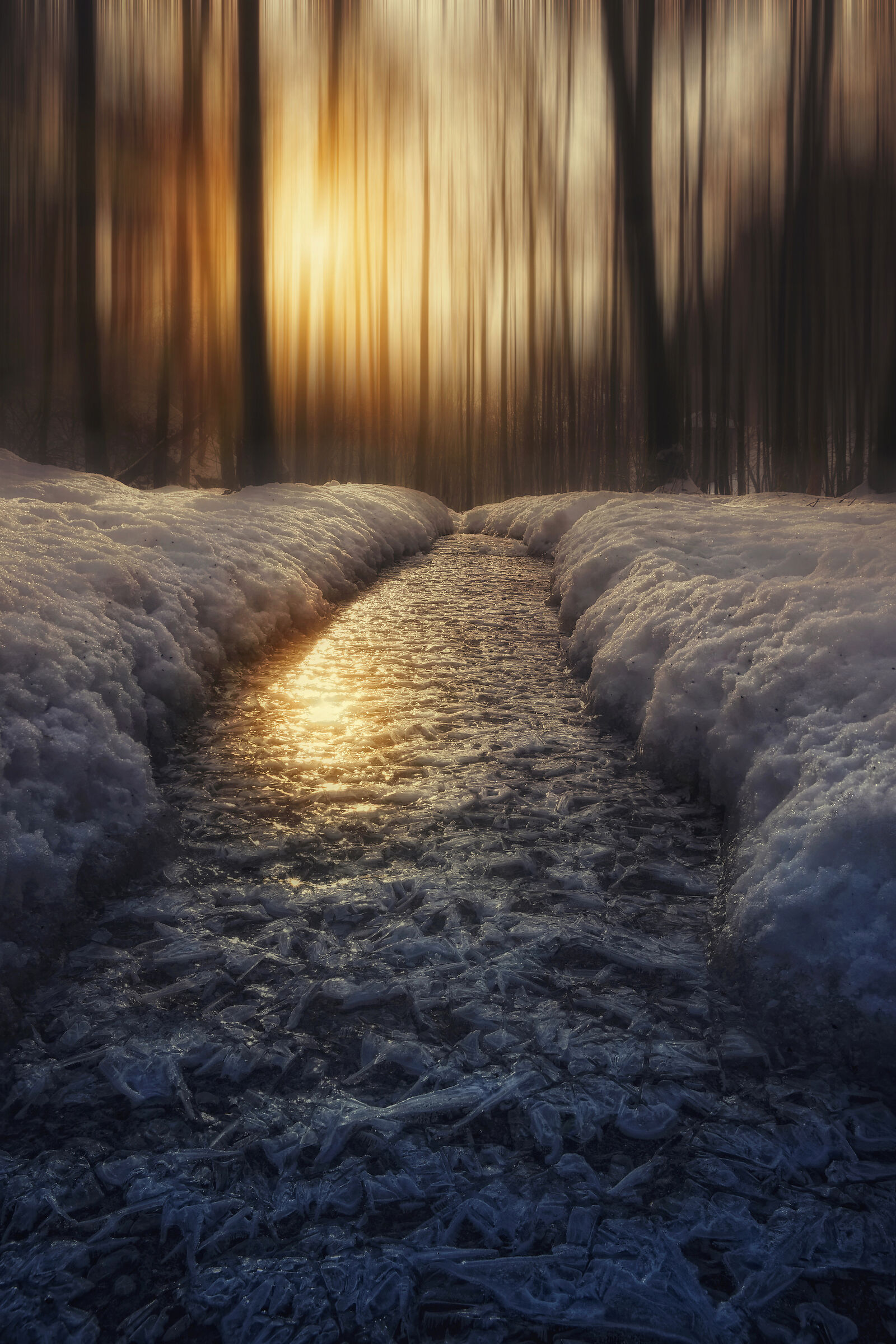 Nella fragile luce dell'inverno