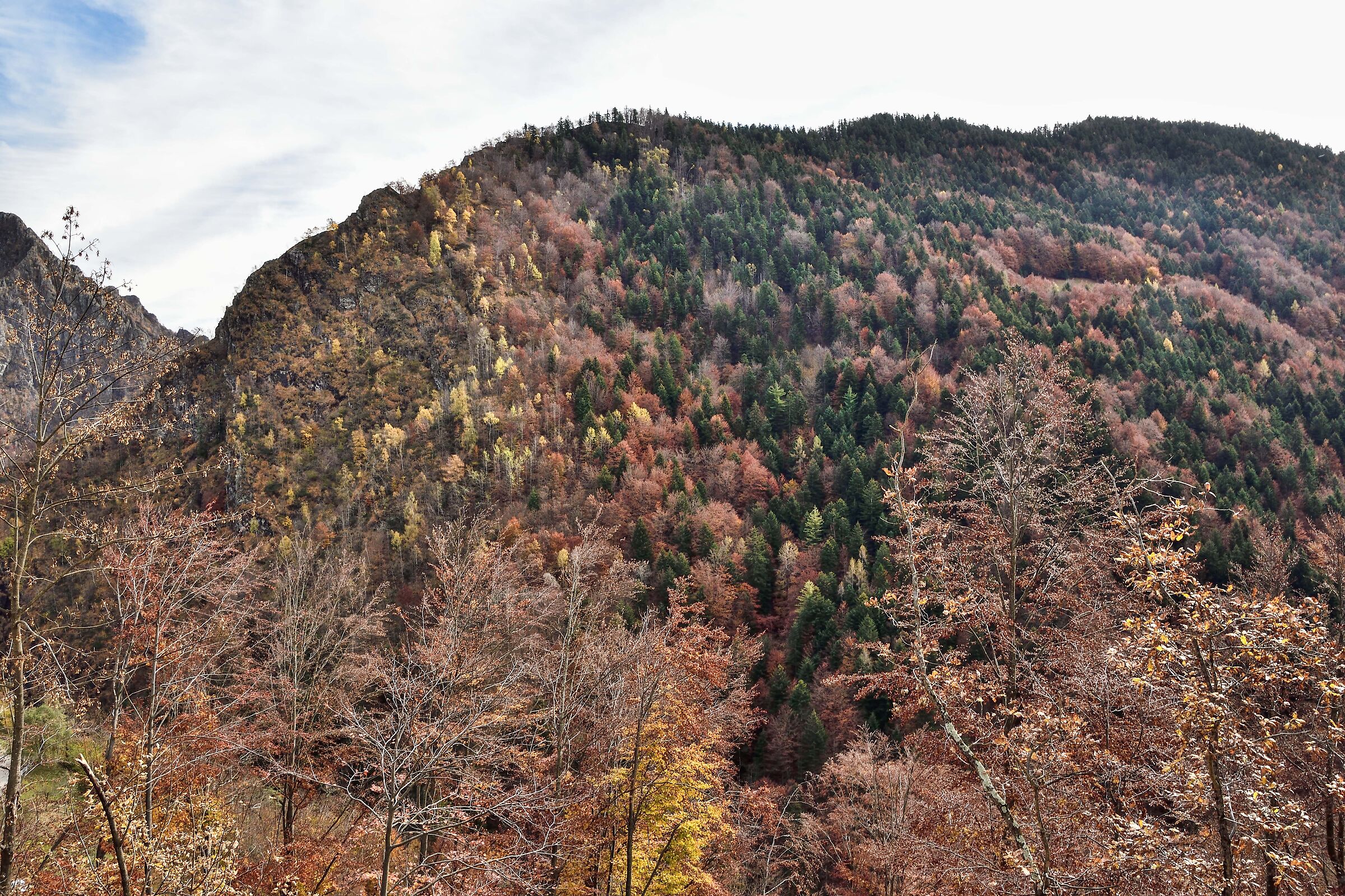 autunno 2020 ValSesia Val Mastallone